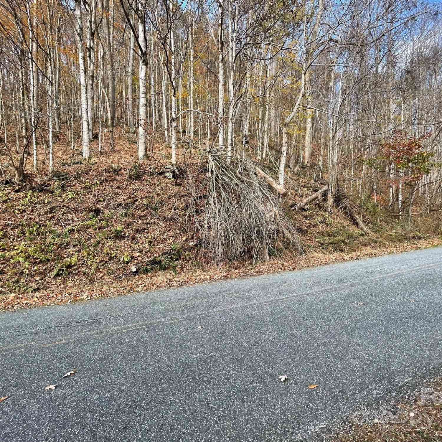 00 Foster Creek Road, Marshall, North Carolina image 17