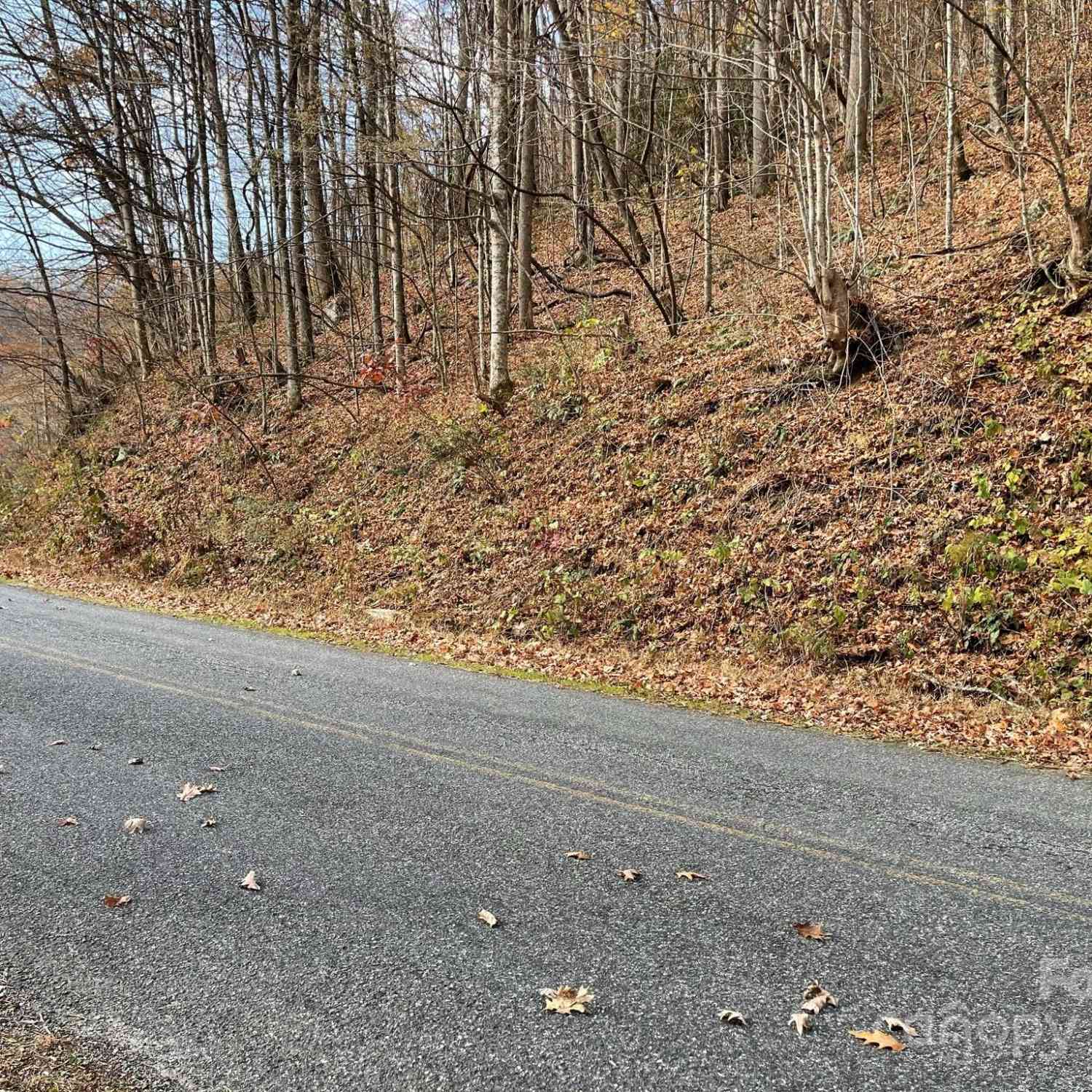 00 Foster Creek Road, Marshall, North Carolina image 16