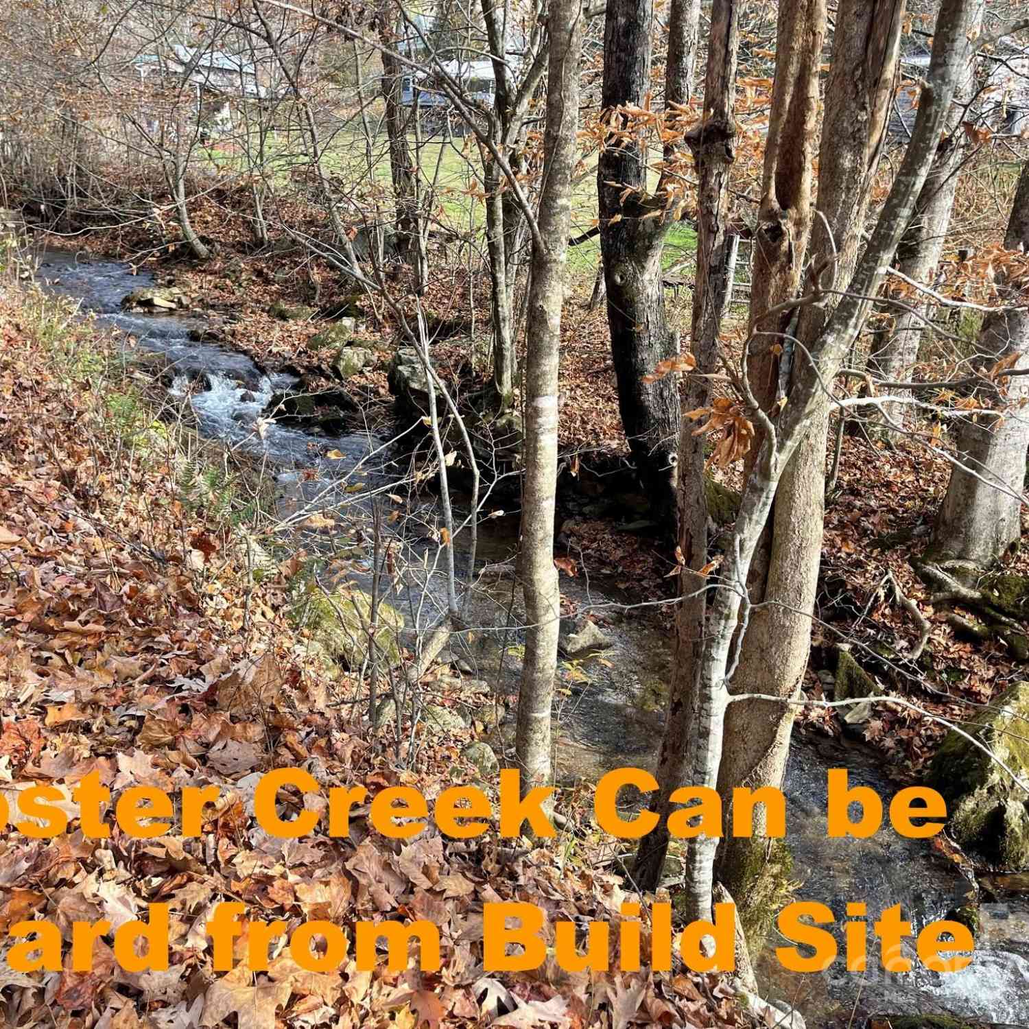 00 Foster Creek Road, Marshall, North Carolina image 15