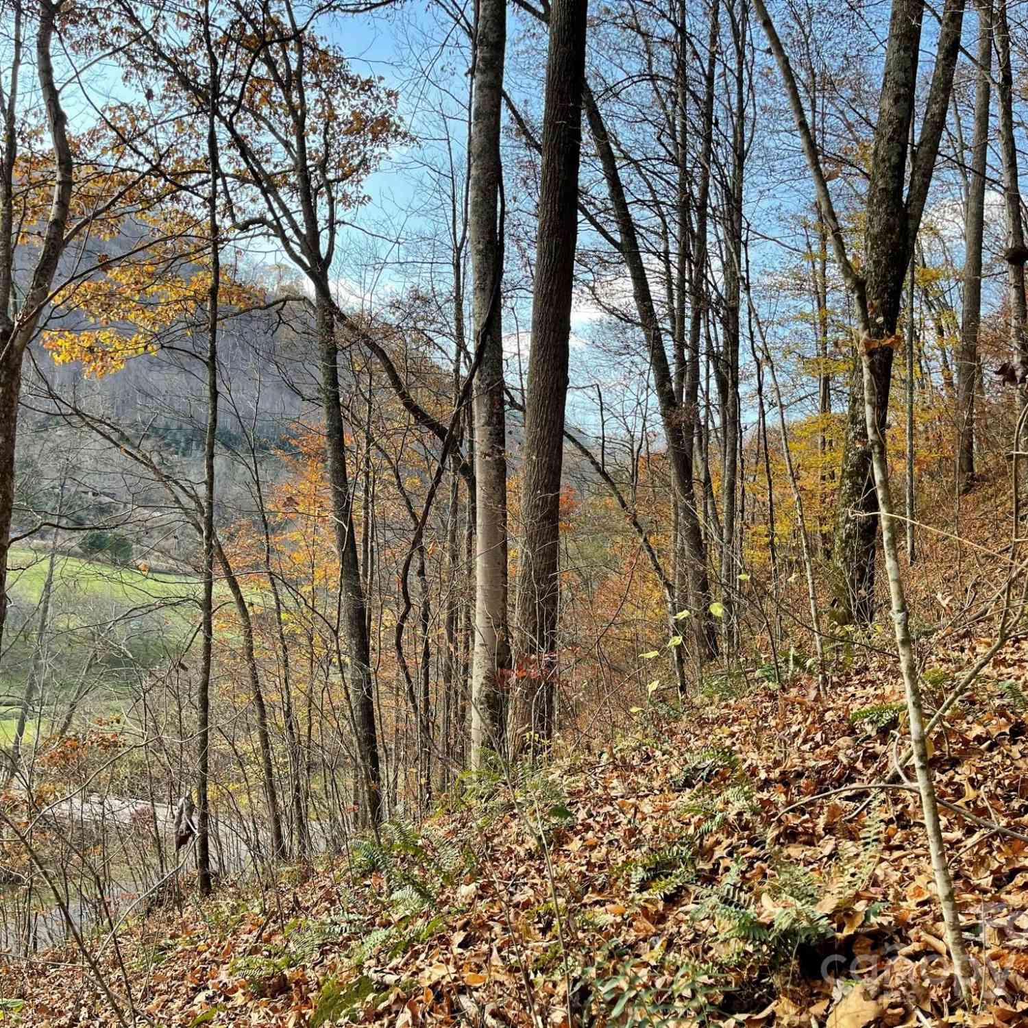00 Foster Creek Road, Marshall, North Carolina image 14