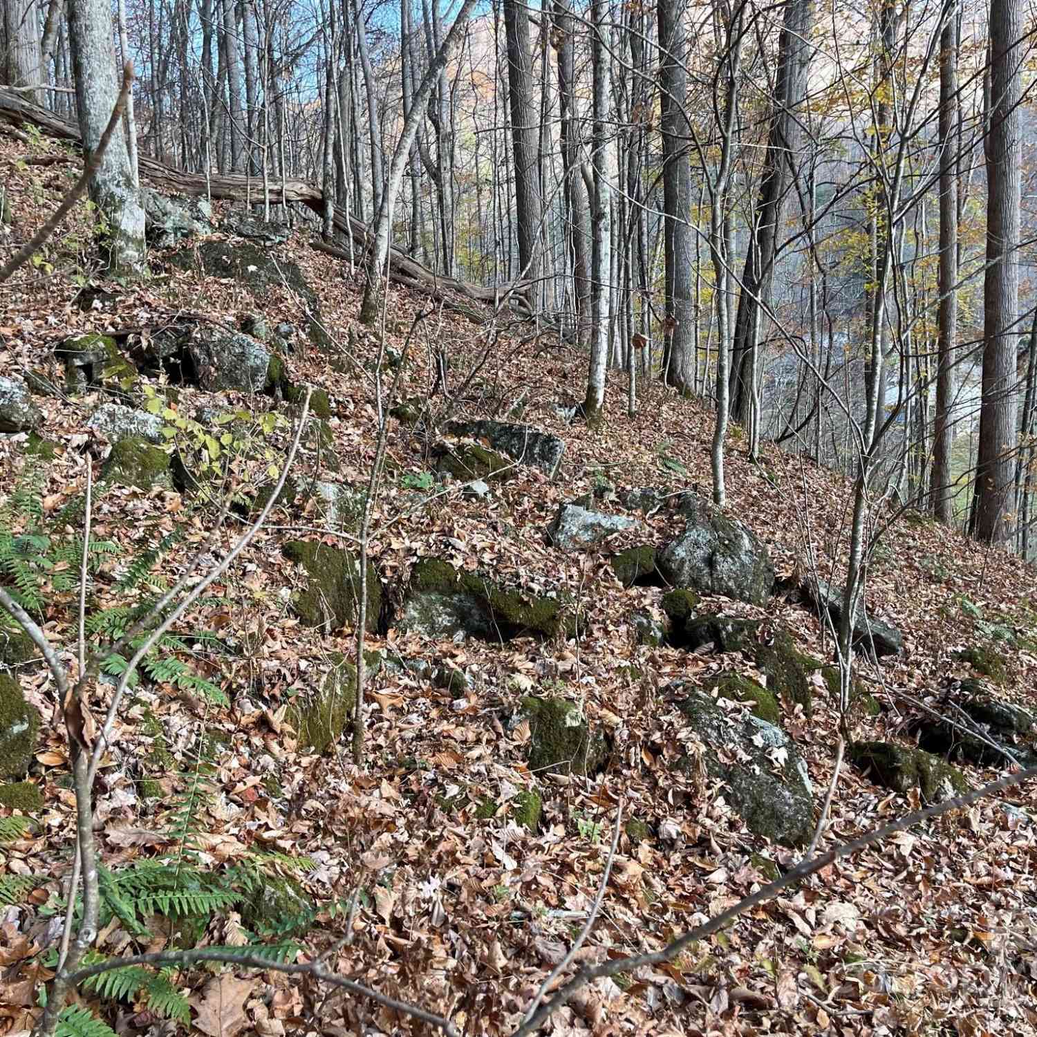 00 Foster Creek Road, Marshall, North Carolina image 12