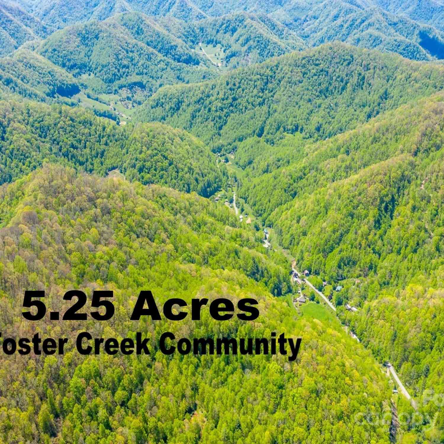 00 Foster Creek Road, Marshall, North Carolina image 2