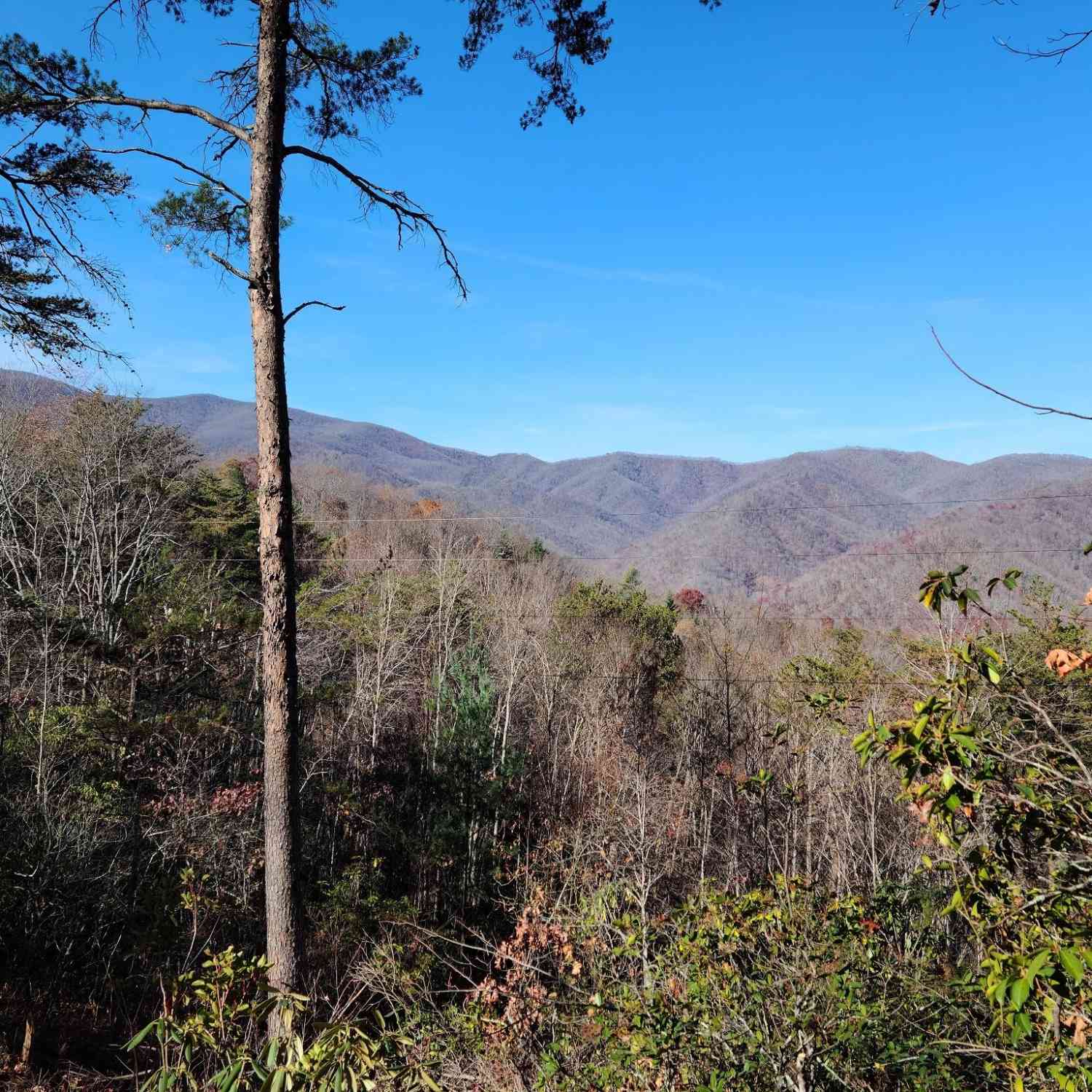 Blue Vista Road #1, Canton, North Carolina image 10