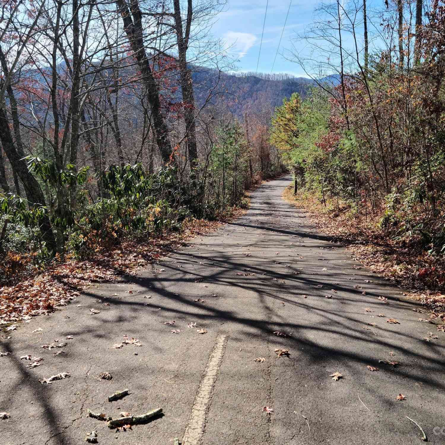 000000 Blue Vista Road #6, Canton, North Carolina image 4