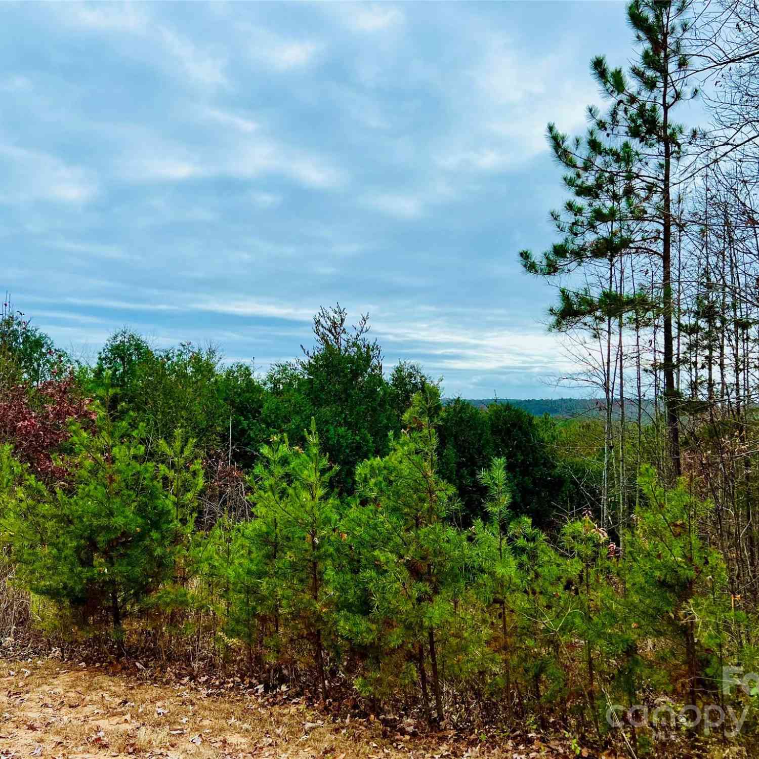 2.53 Acres Lot 602 Low Valley Way #LOT 602, Lenoir, North Carolina image 19