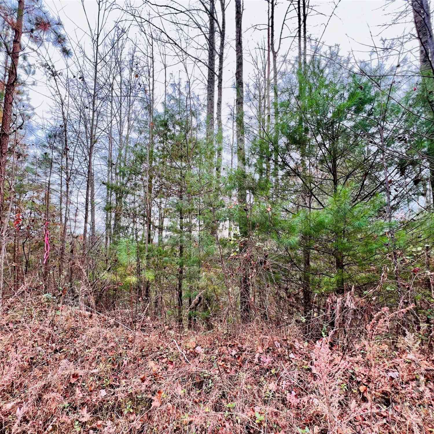 2.53 Acres Lot 602 Low Valley Way #LOT 602, Lenoir, North Carolina image 16