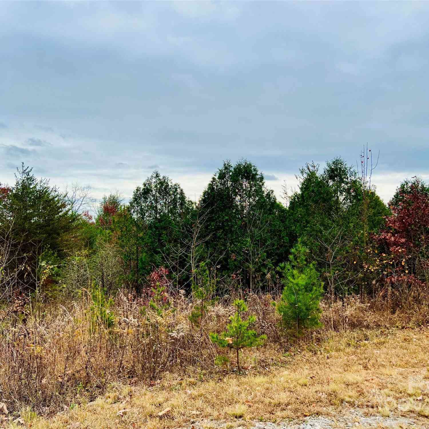 2.53 Acres Lot 602 Low Valley Way #LOT 602, Lenoir, North Carolina image 14