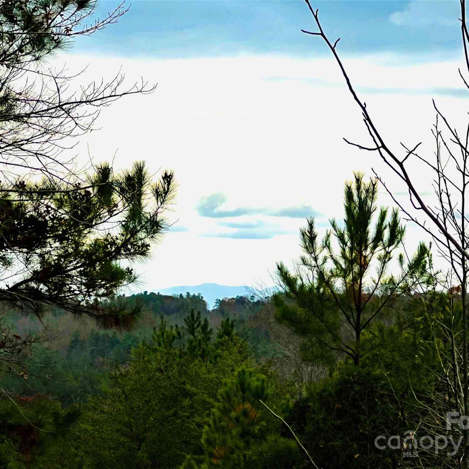 2.53 Acres Lot 602 Low Valley Way #LOT 602, Lenoir, North Carolina image 10