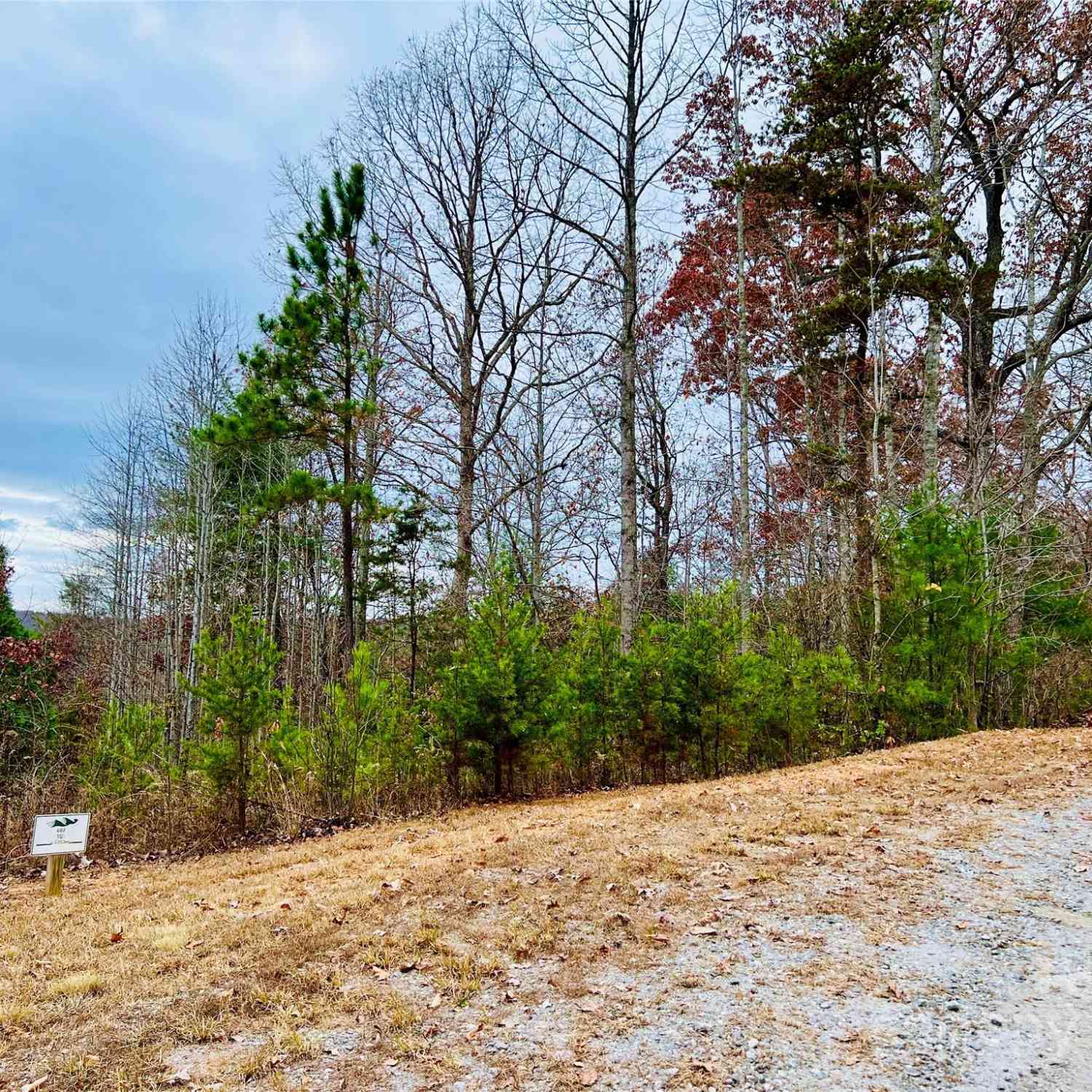 2.53 Acres Lot 602 Low Valley Way #LOT 602, Lenoir, North Carolina image 18