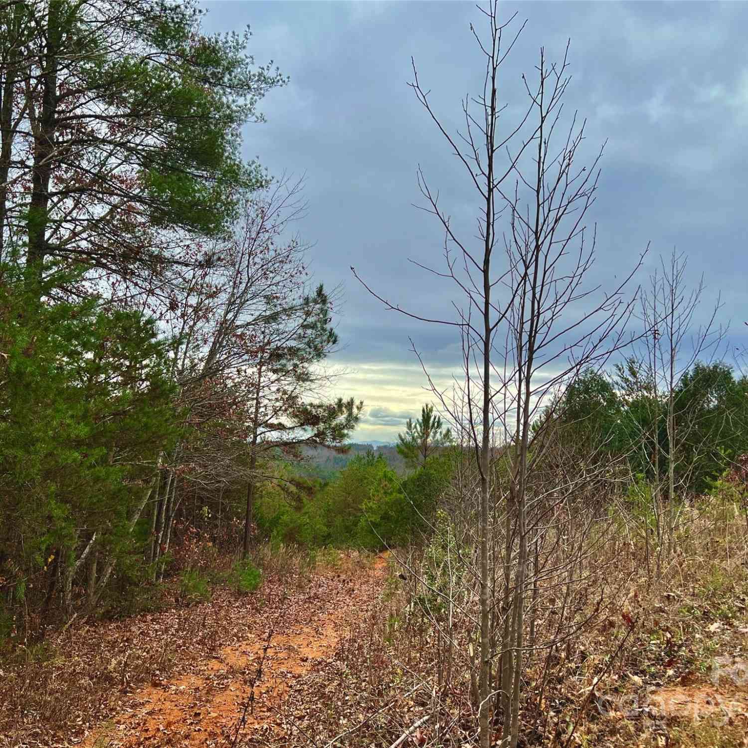 2.53 Acres Lot 602 Low Valley Way #LOT 602, Lenoir, North Carolina image 7