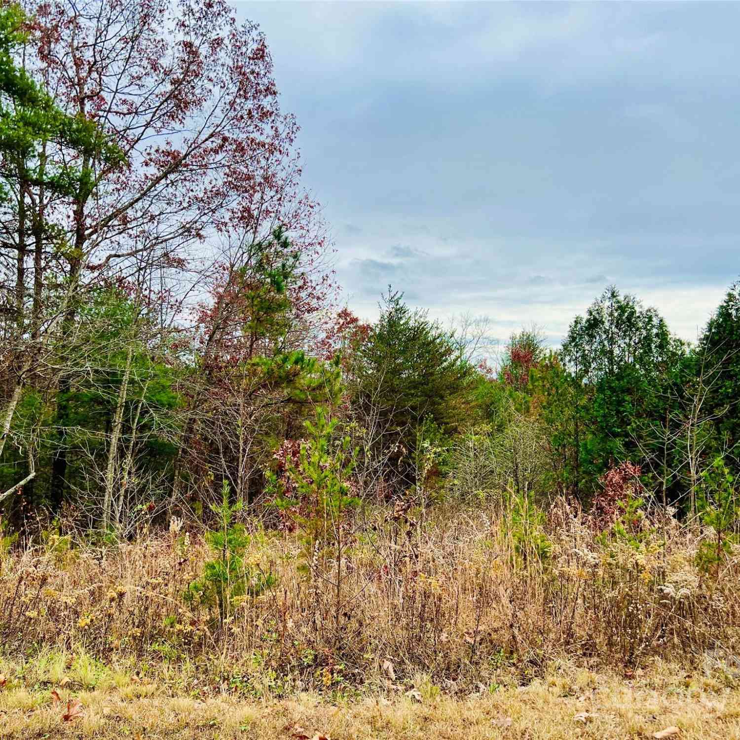 2.53 Acres Lot 602 Low Valley Way #LOT 602, Lenoir, North Carolina image 13