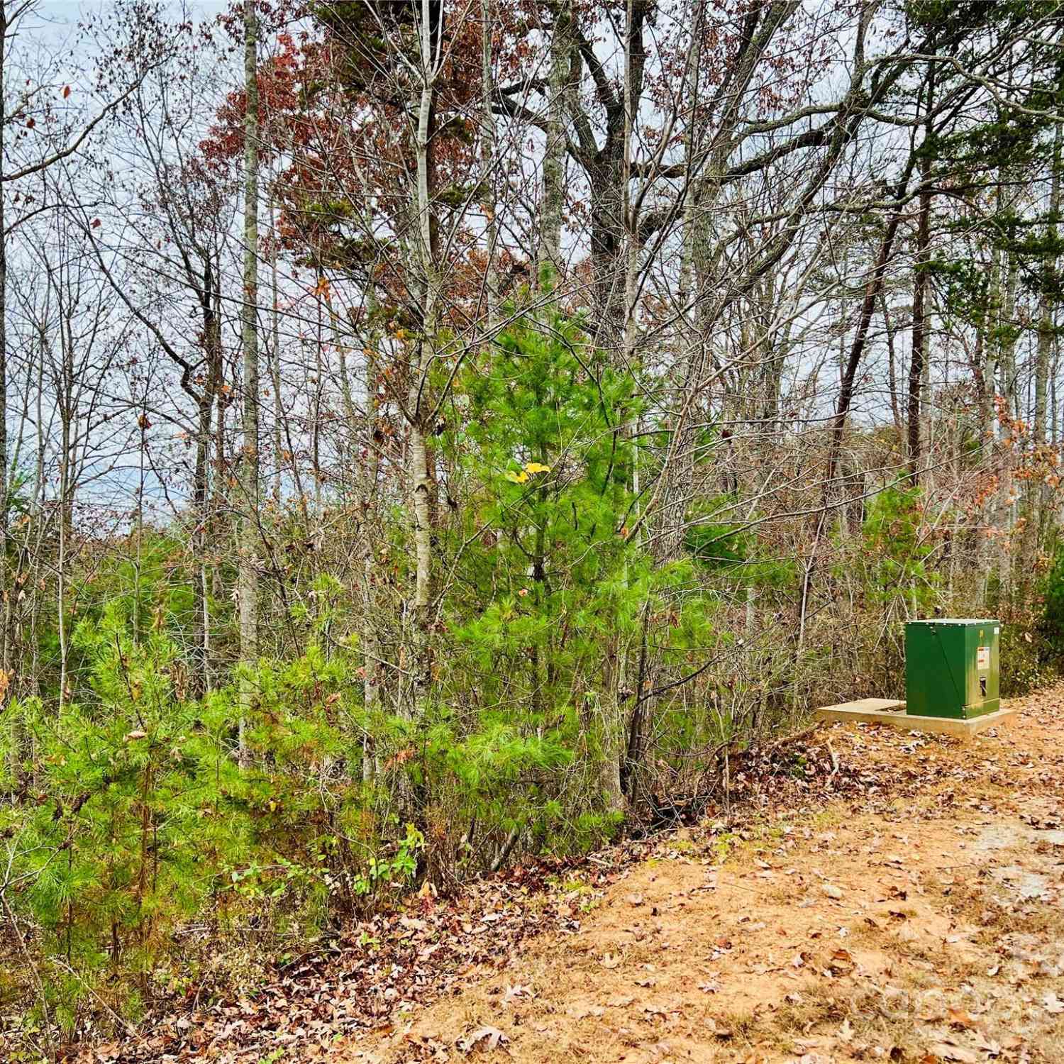 2.53 Acres Lot 602 Low Valley Way #LOT 602, Lenoir, North Carolina image 15