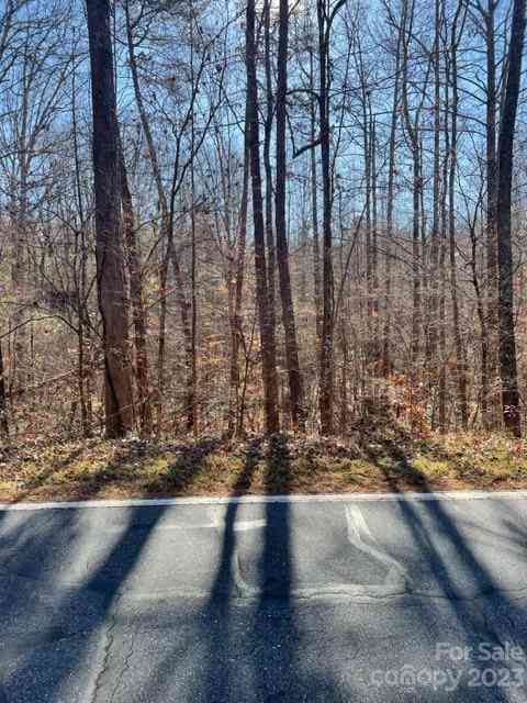 Holly Forest Drive, Rutherfordton, North Carolina image 6