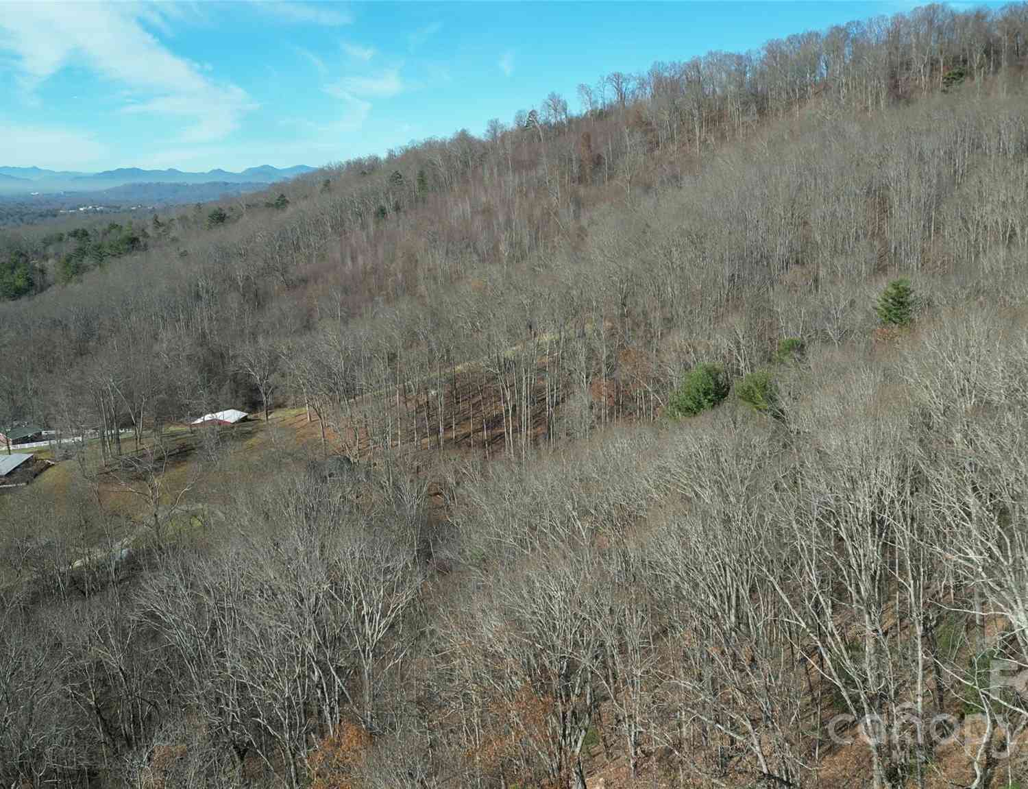 20 Red Berry Trail, Swannanoa, North Carolina image 36