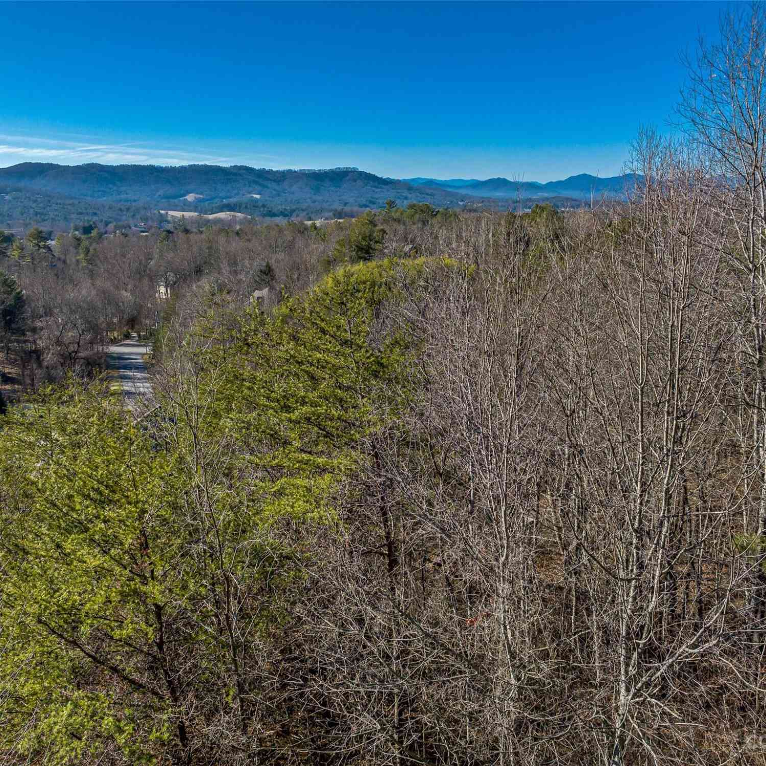 36 Hawtree Court, Weaverville, North Carolina image 6