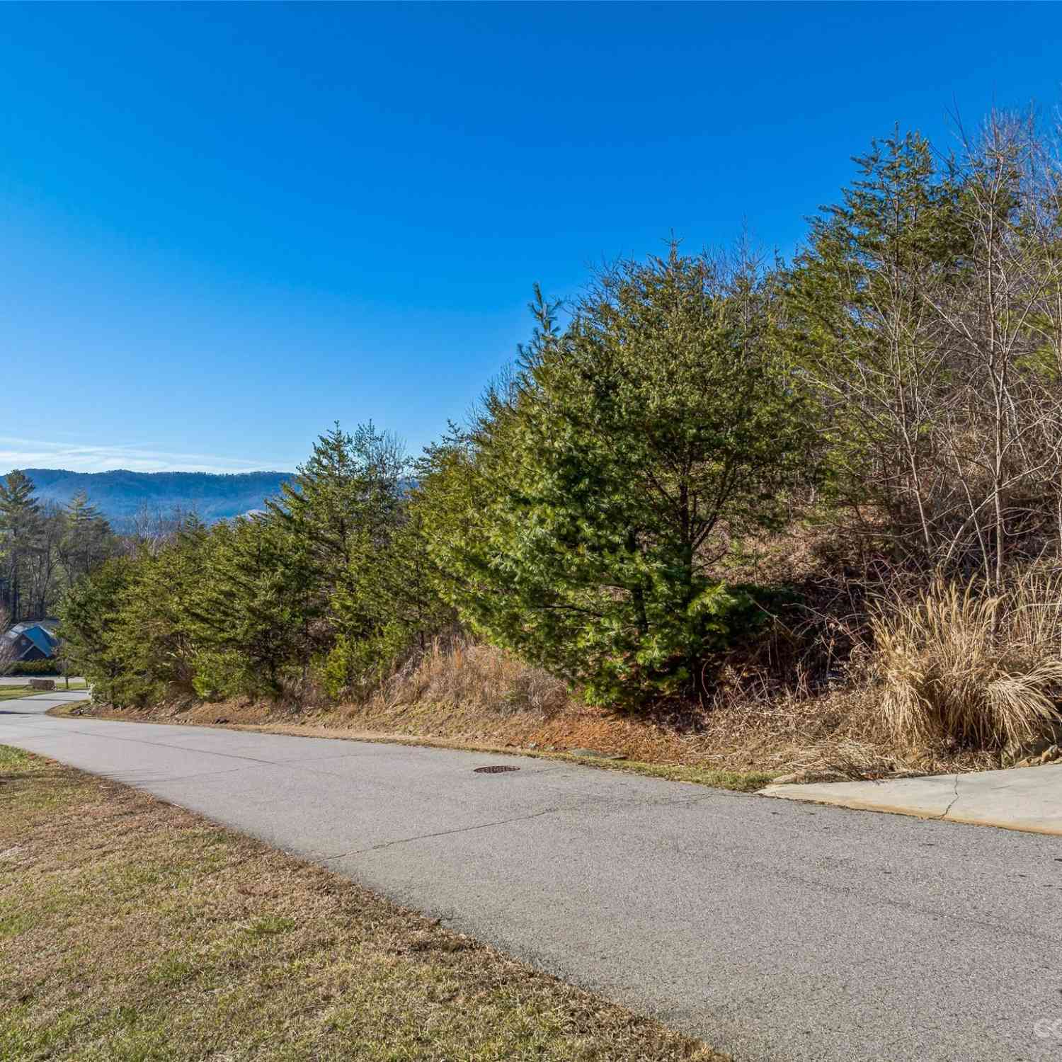 36 Hawtree Court, Weaverville, North Carolina image 9