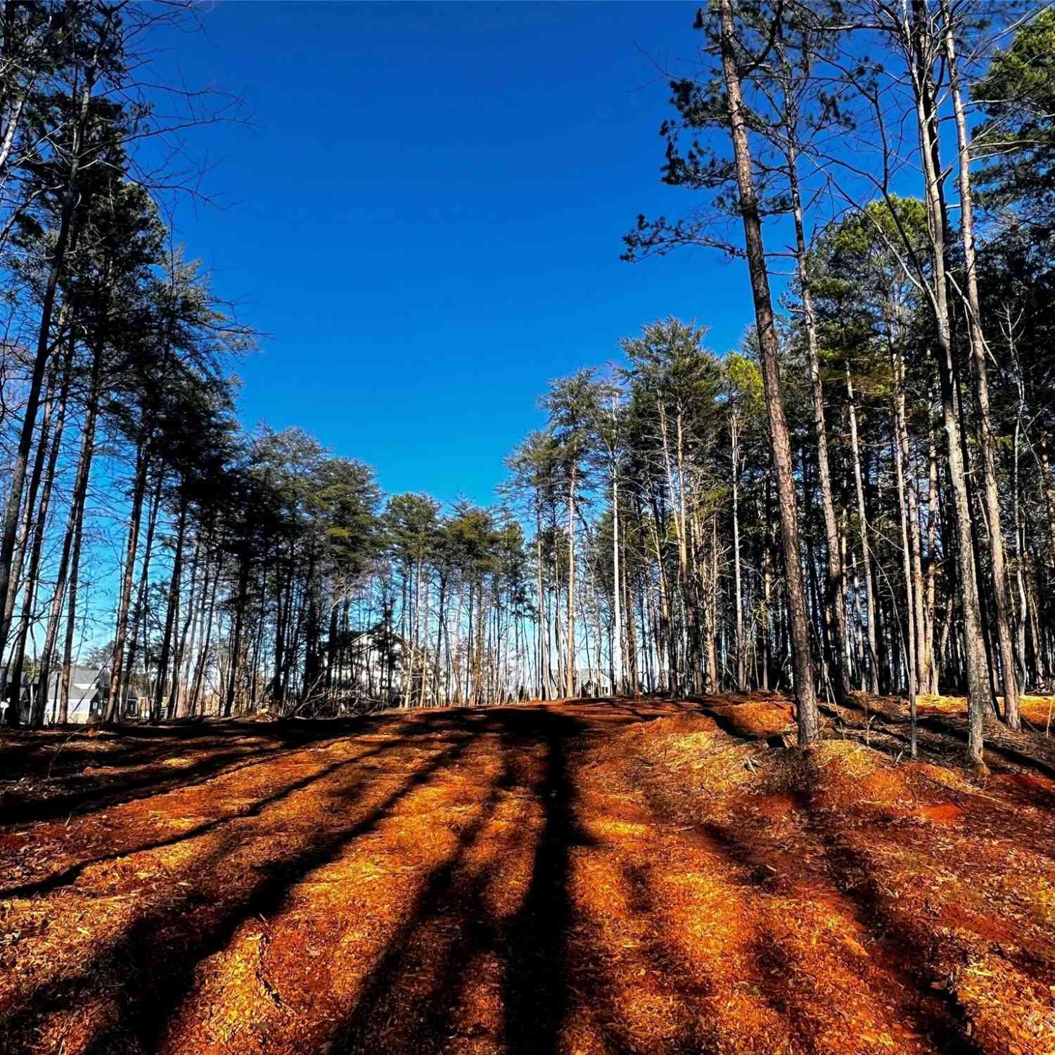 109 Hunt Camp Trail #19, Davidson, North Carolina image 1