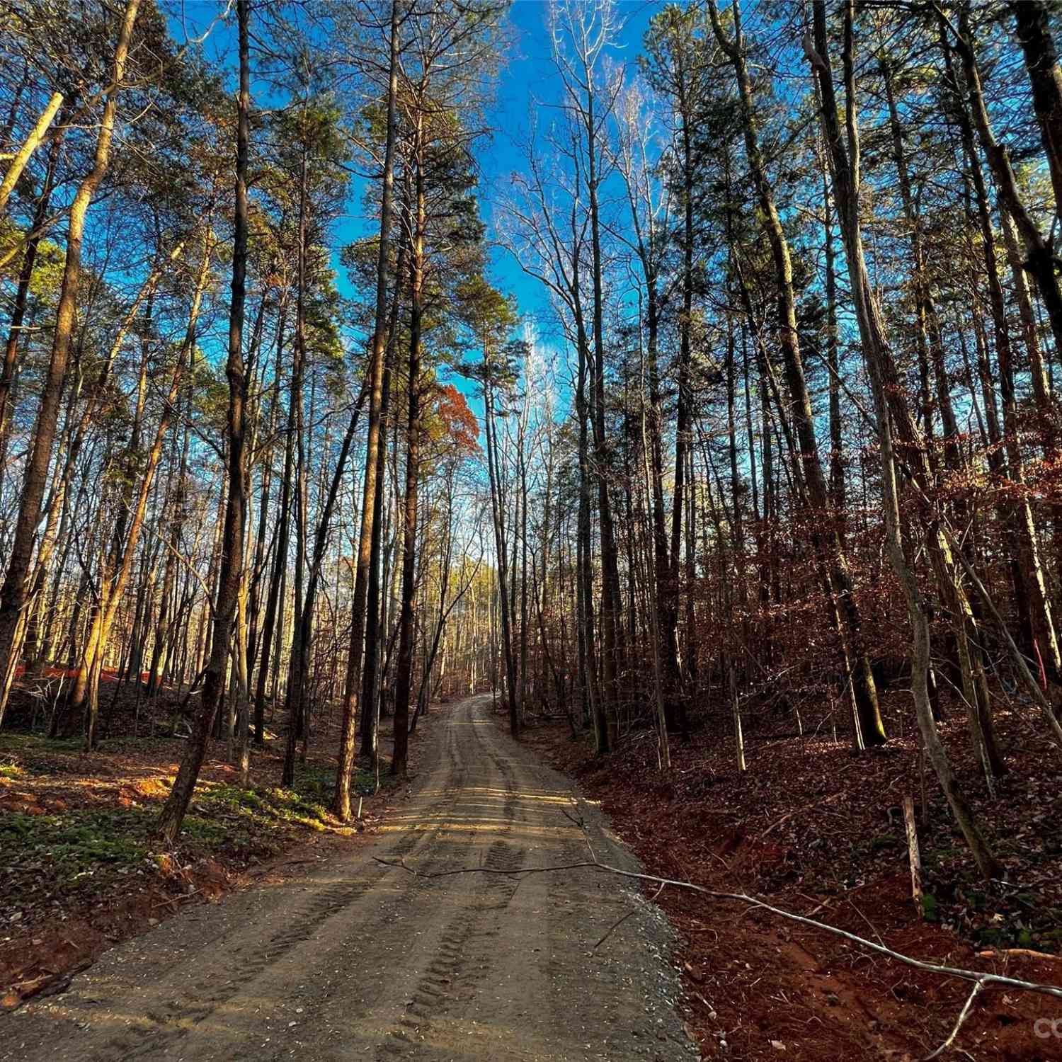 126 Hunt Camp Trail #20, Davidson, North Carolina image 1