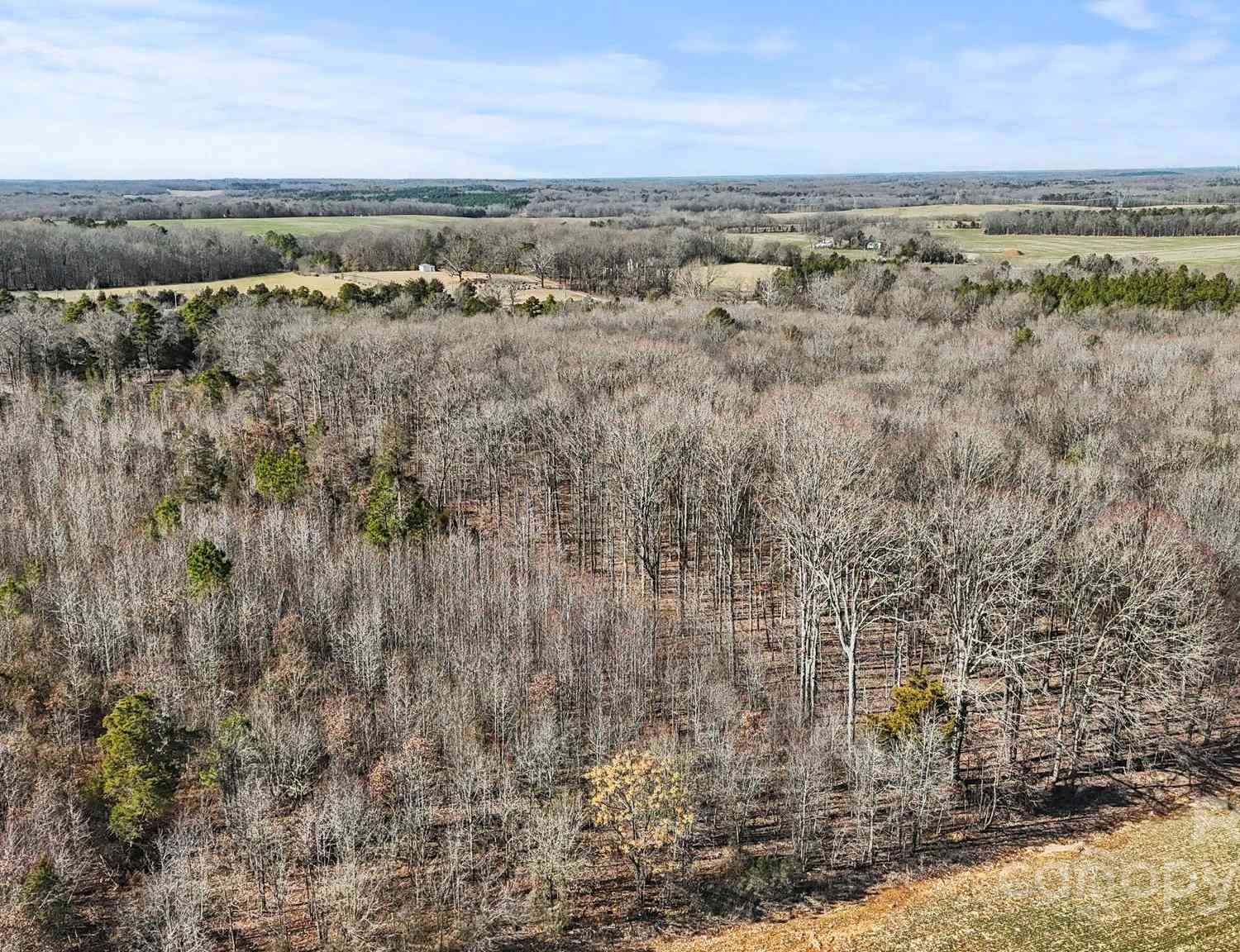 4819 Wolf Pond Road, Monroe, North Carolina image 9
