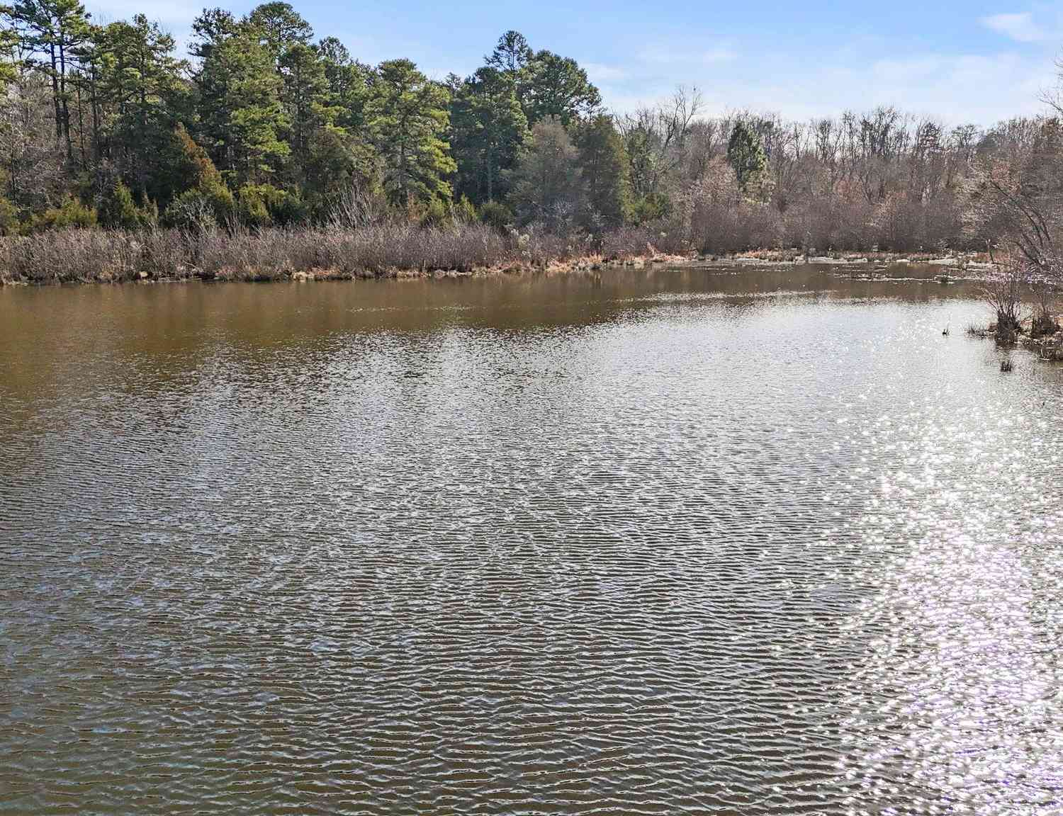 4819 Wolf Pond Road, Monroe, North Carolina image 10