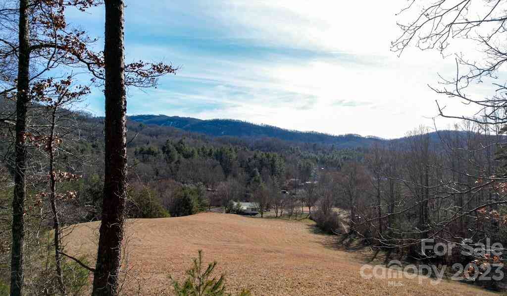 66 Fox Branch Road, Fairview, North Carolina image 33