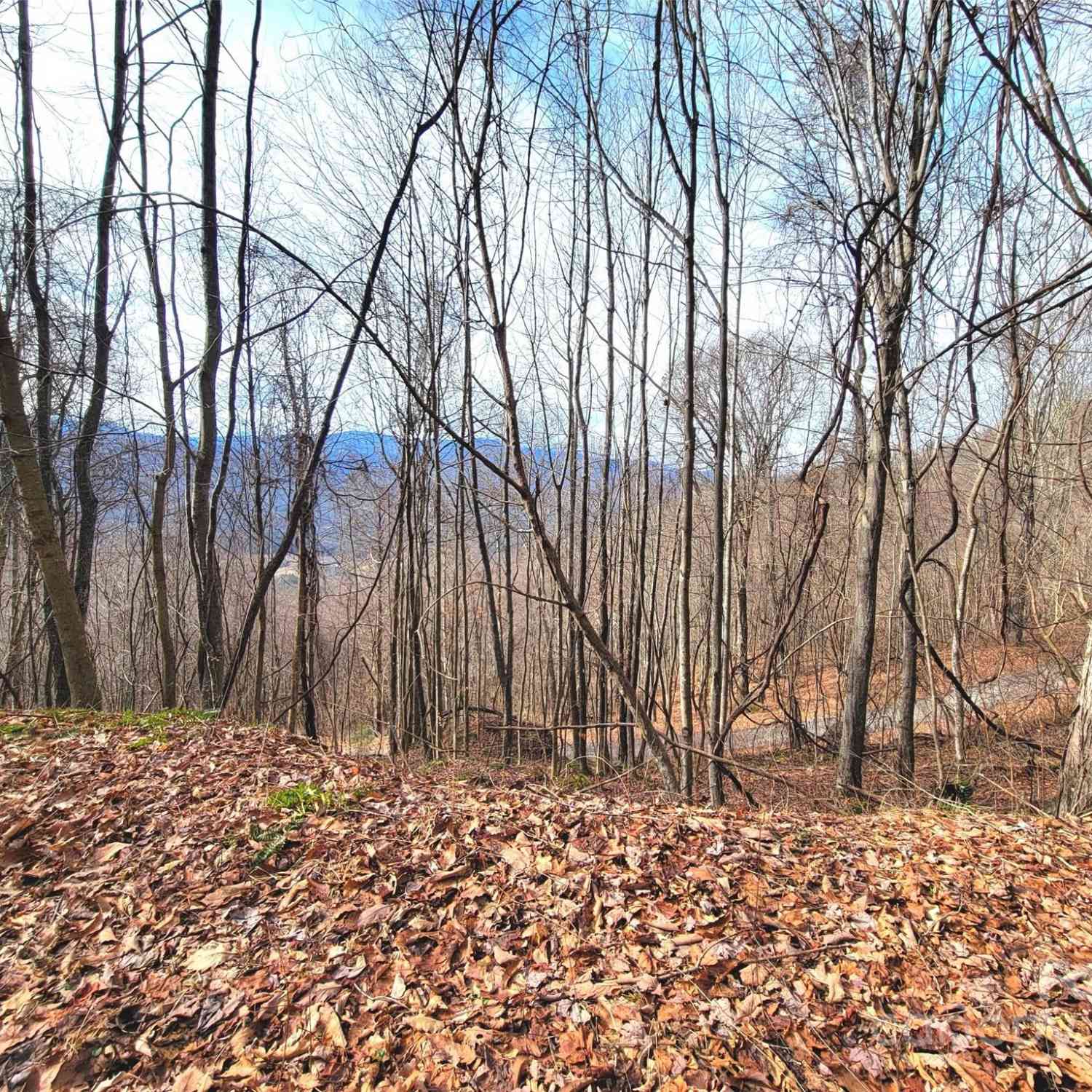 75 Rimrock Ridge #I, Clyde, North Carolina image 9