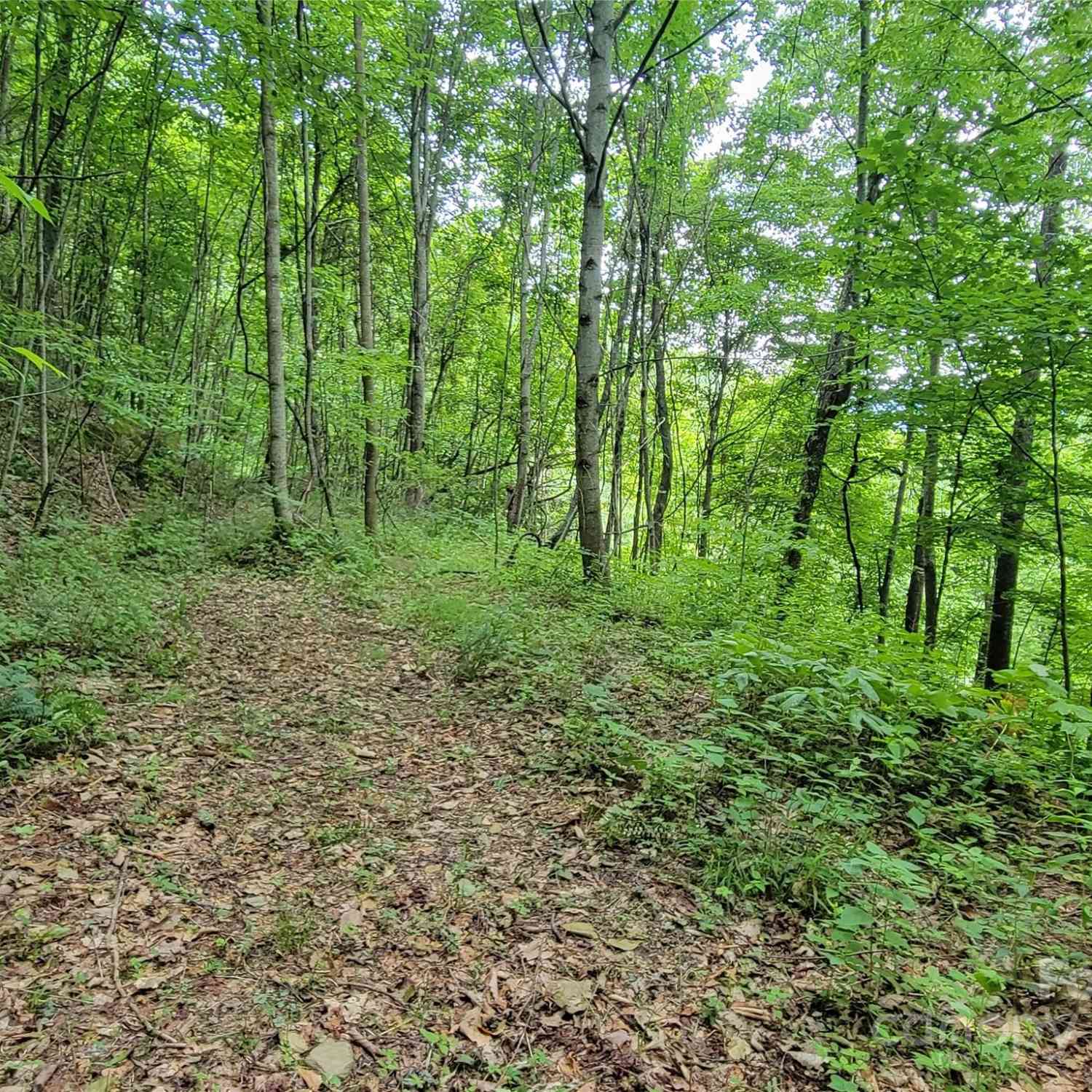 75 Rimrock Ridge #I, Clyde, North Carolina image 7