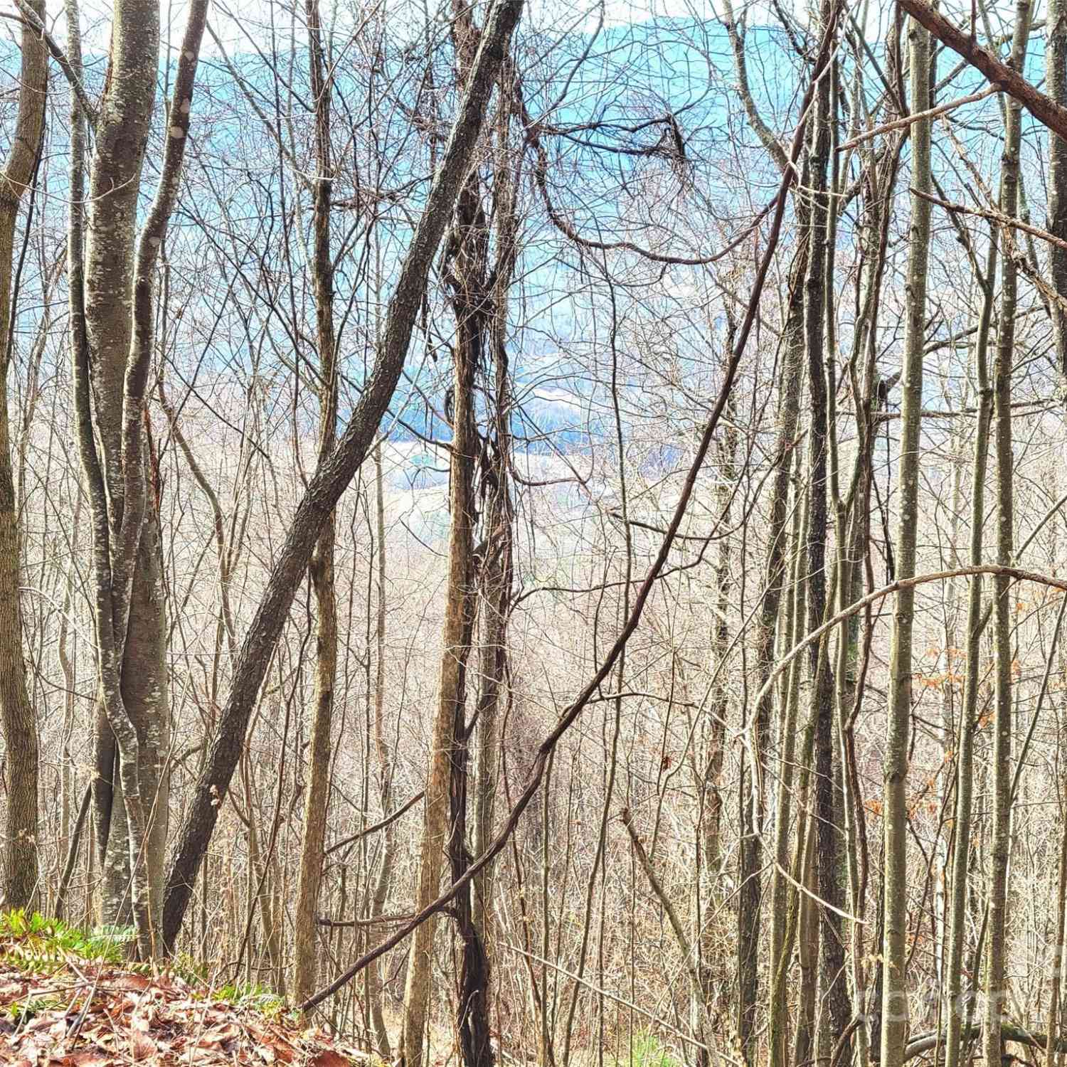 75 Rimrock Ridge #I, Clyde, North Carolina image 15