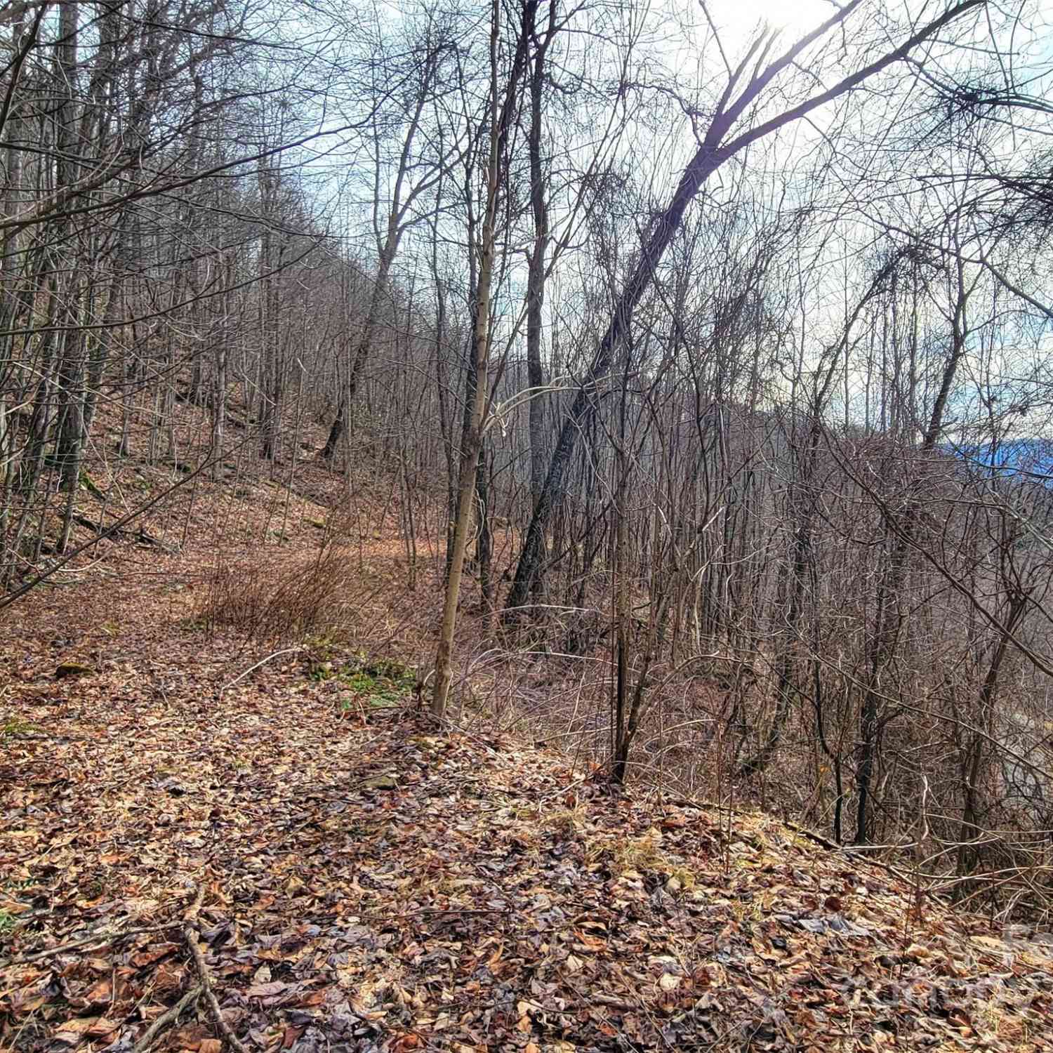 75 Rimrock Ridge #I, Clyde, North Carolina image 13