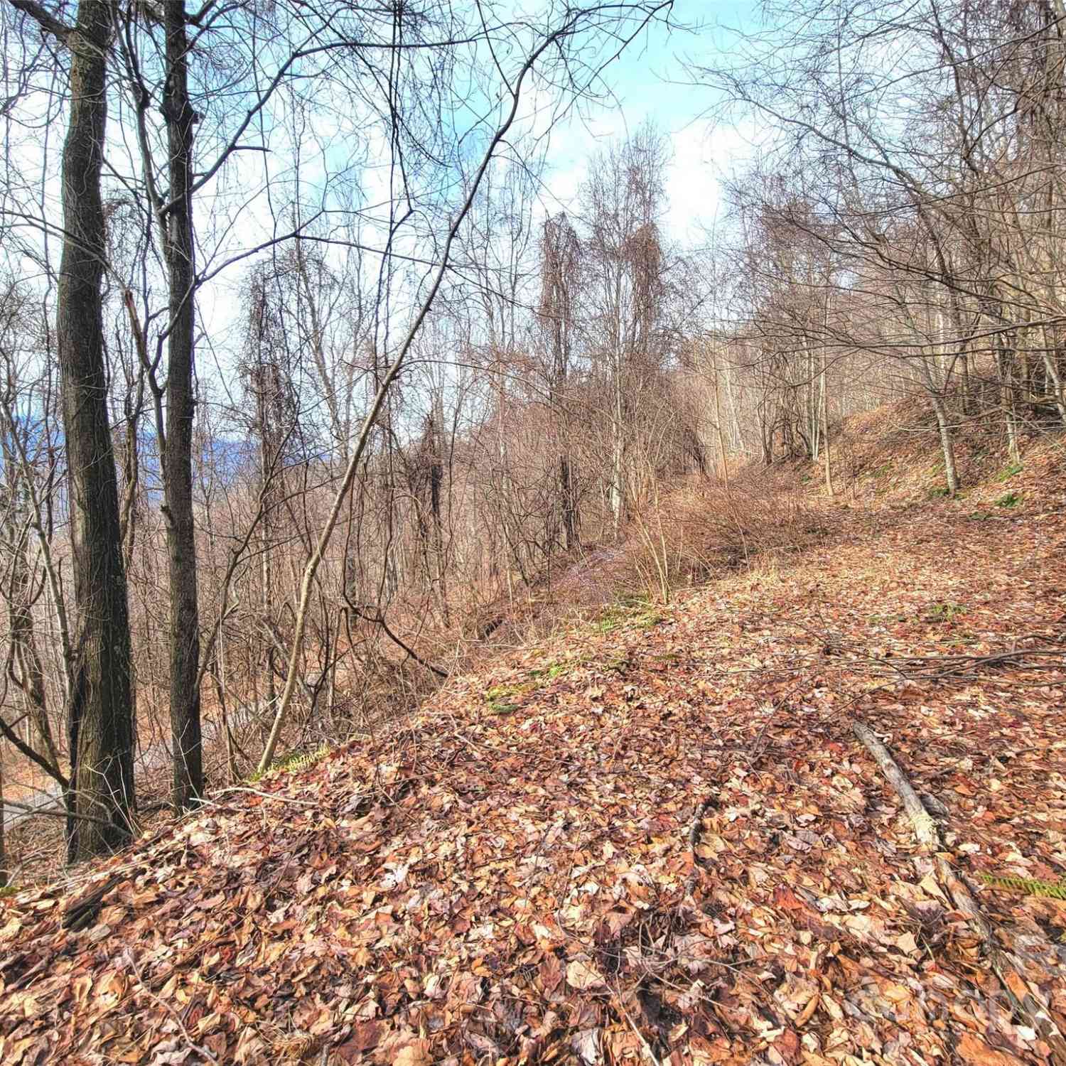 75 Rimrock Ridge #I, Clyde, North Carolina image 14