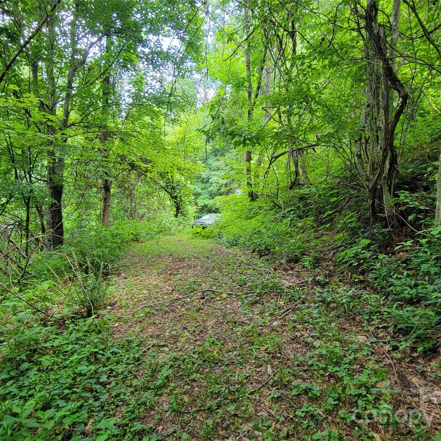 75 Rimrock Ridge #I, Clyde, North Carolina image 4