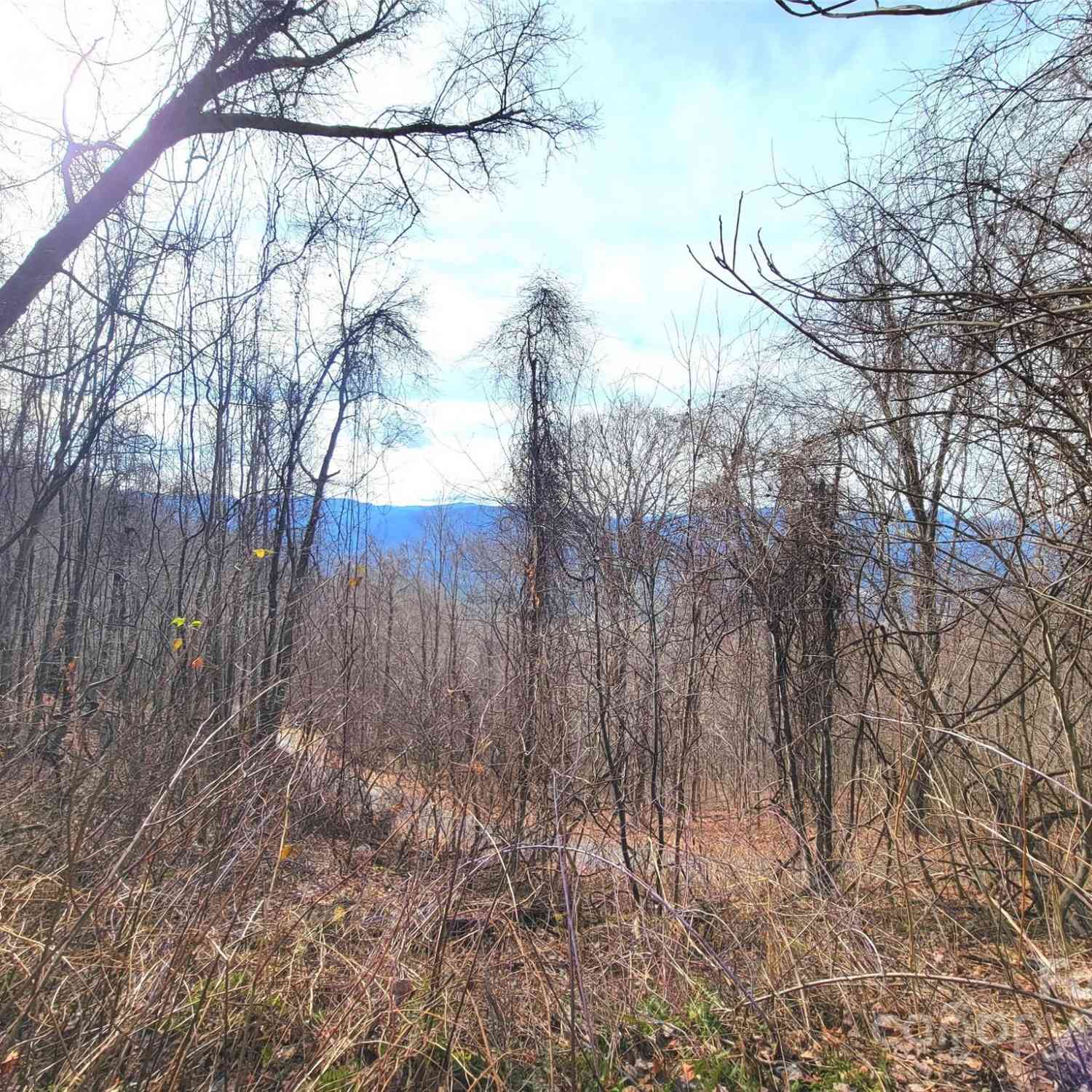 75 Rimrock Ridge #I, Clyde, North Carolina image 16