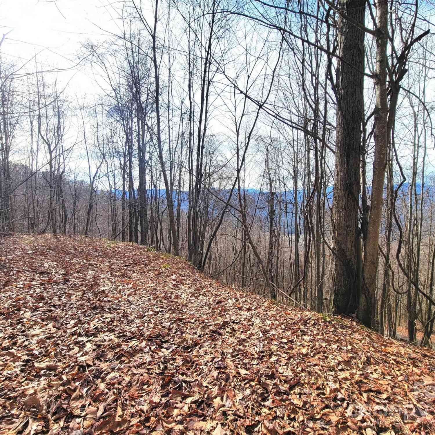 75 Rimrock Ridge #I, Clyde, North Carolina image 2