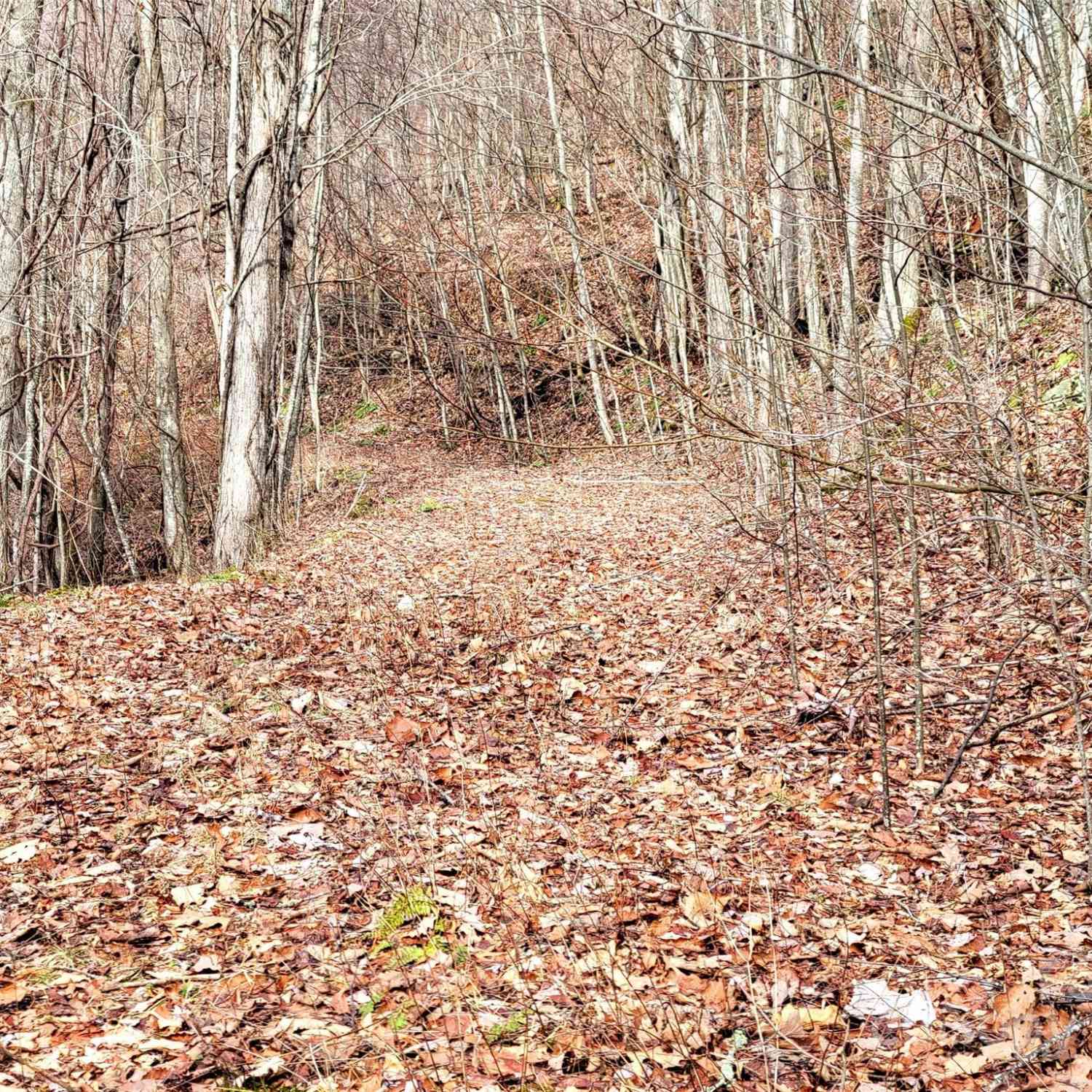 75 Rimrock Ridge #I, Clyde, North Carolina image 5