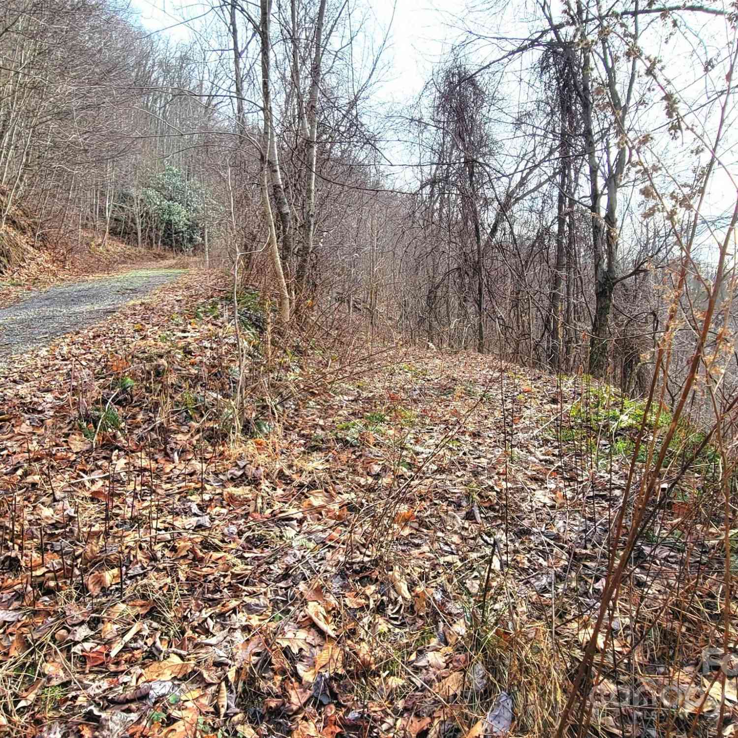 75 Rimrock Ridge #I, Clyde, North Carolina image 12
