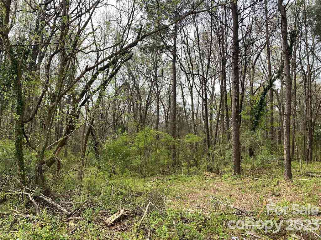 900 York Avenue, Rock Hill, South Carolina image 1