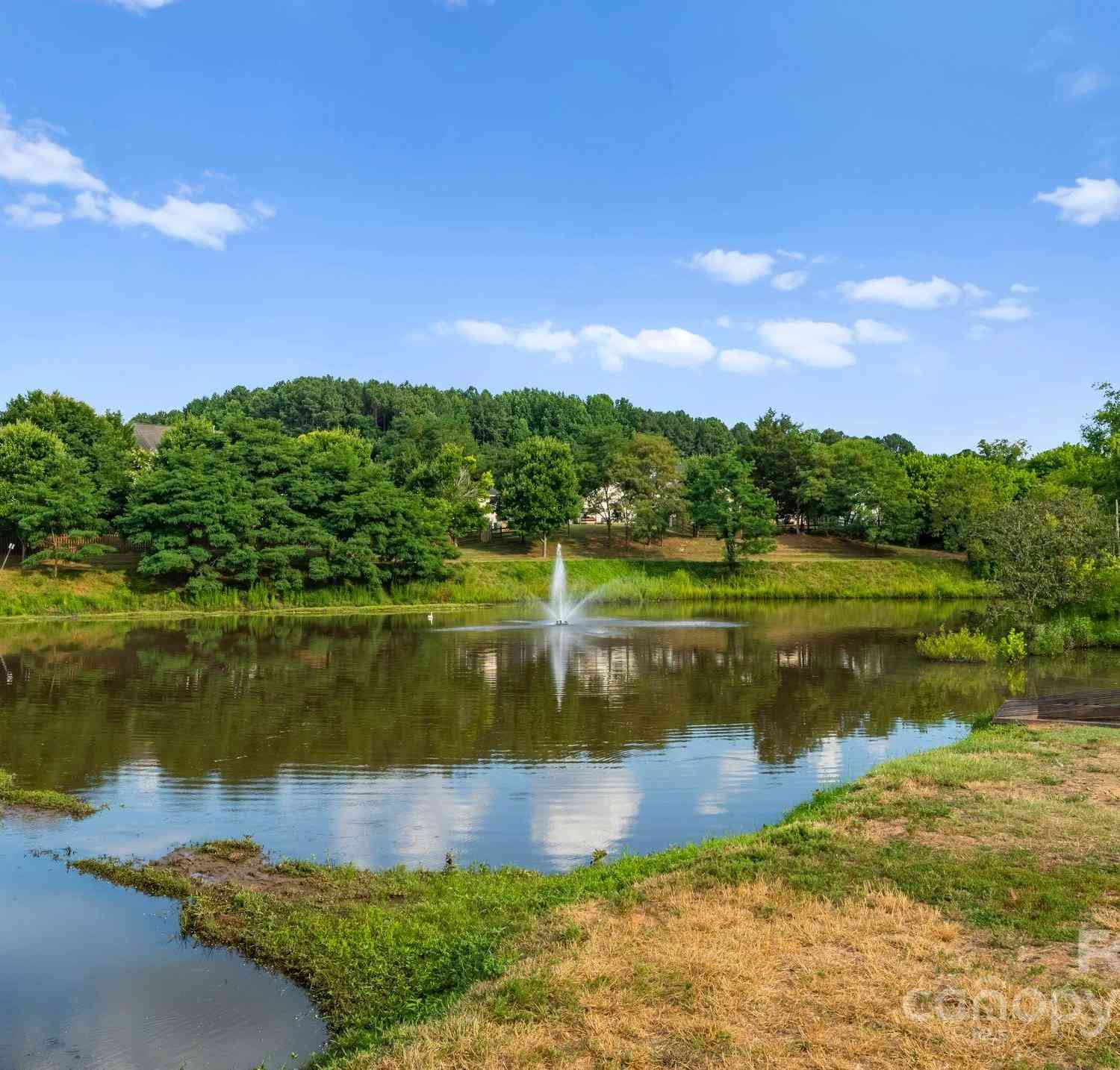 6923 Cascade Dream Court, Huntersville, North Carolina image 45