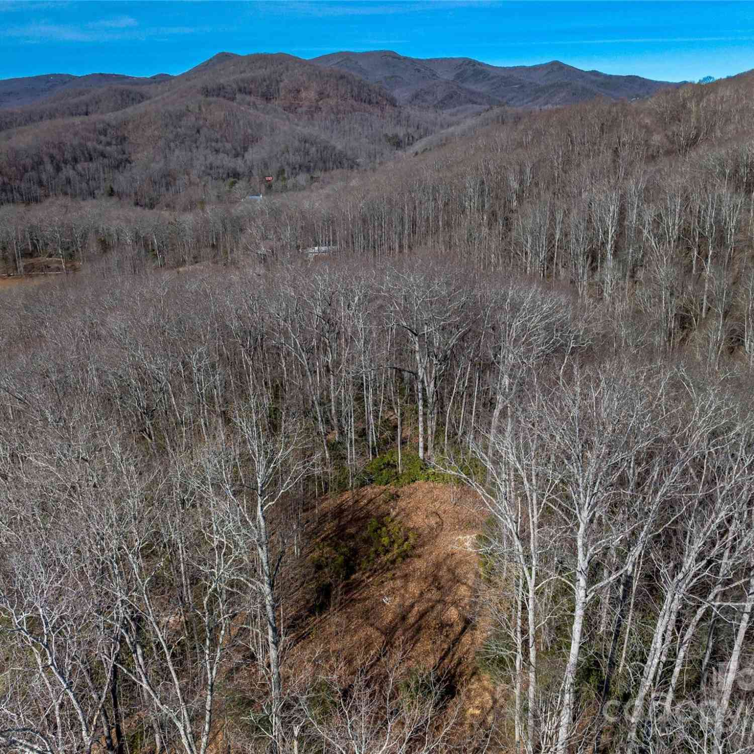 99999 Flat Creek Road, Fairview, North Carolina image 9