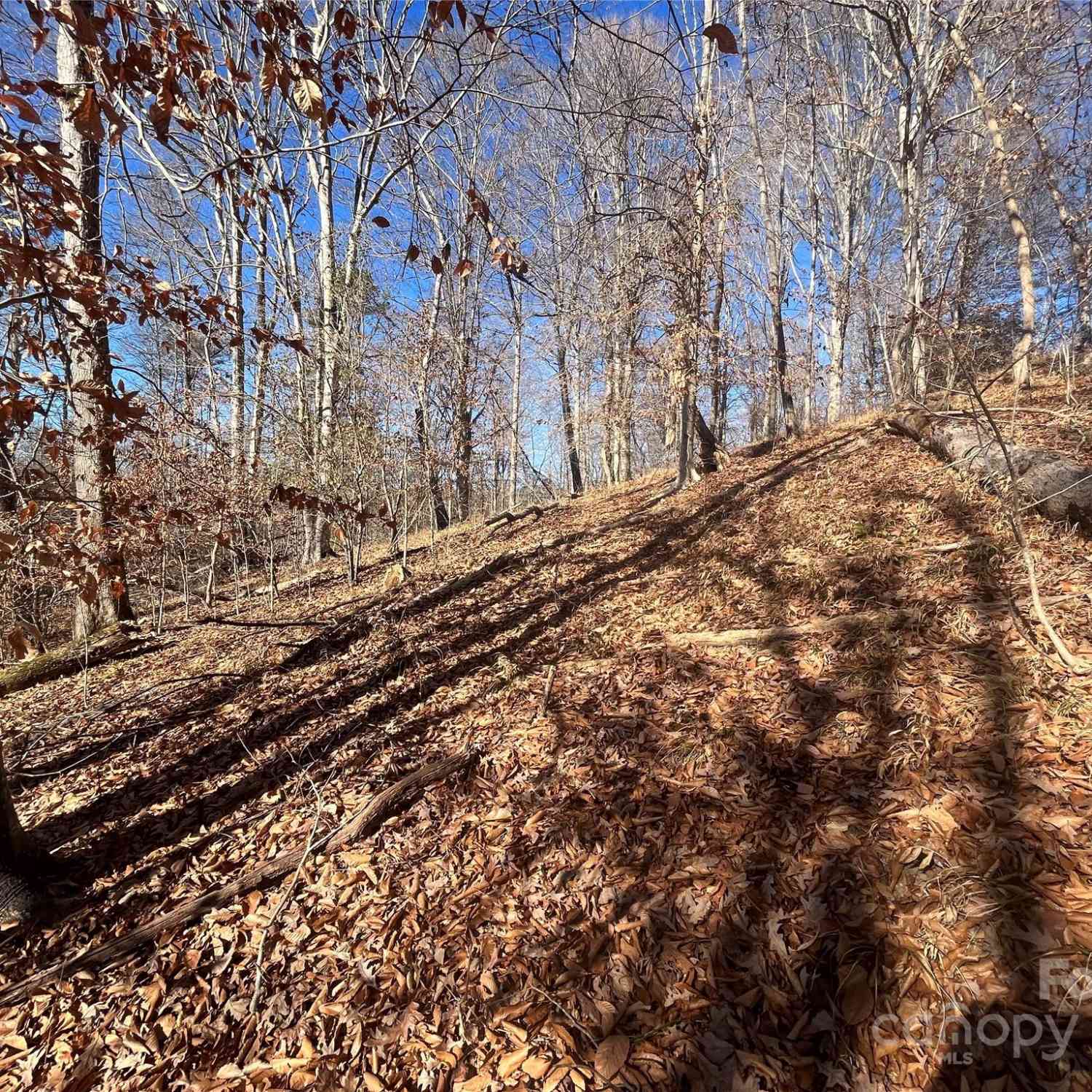 TBD Cross Creek Drive, Rutherfordton, North Carolina image 3