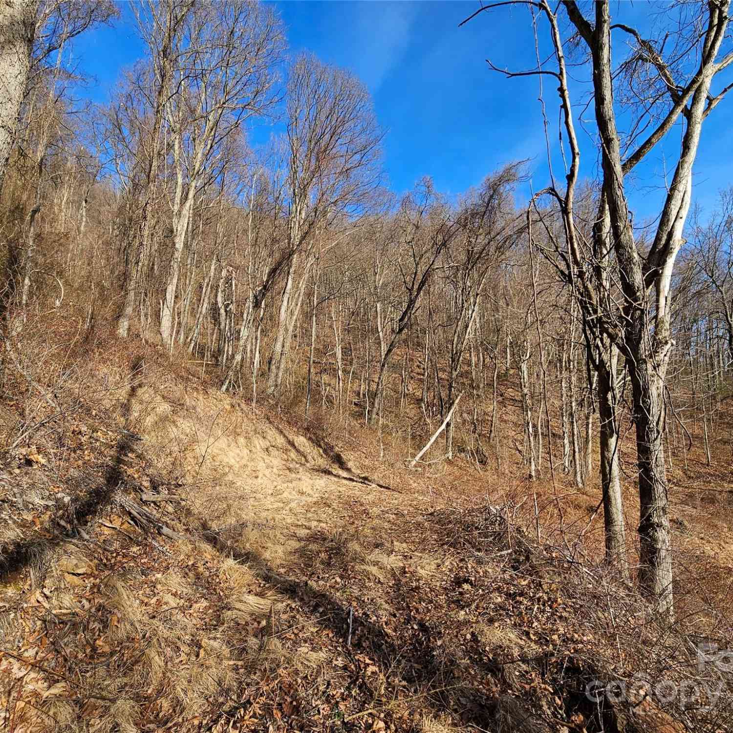 999 High Rock View Drive #36, Canton, North Carolina image 8