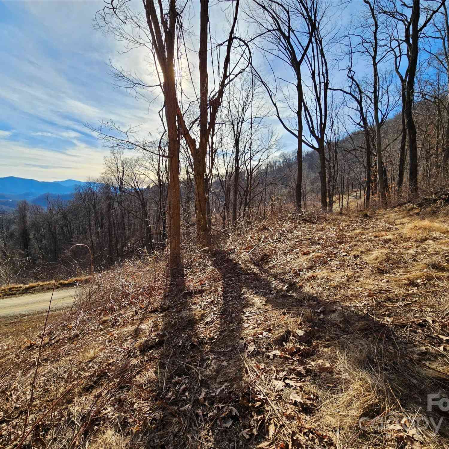 999 High Rock View Drive #36, Canton, North Carolina image 12