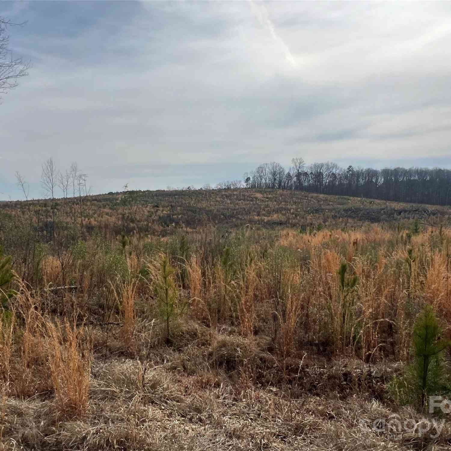 VAC Nc 24/27 Highway, Albemarle, North Carolina image 16