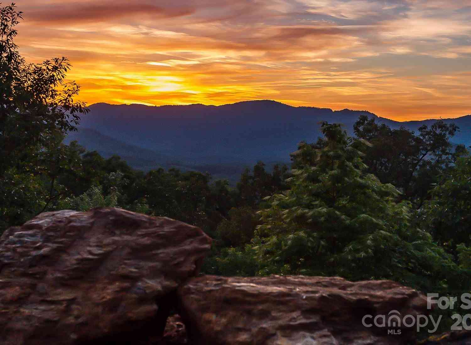 The Falls Road, Union Mills, North Carolina image 5