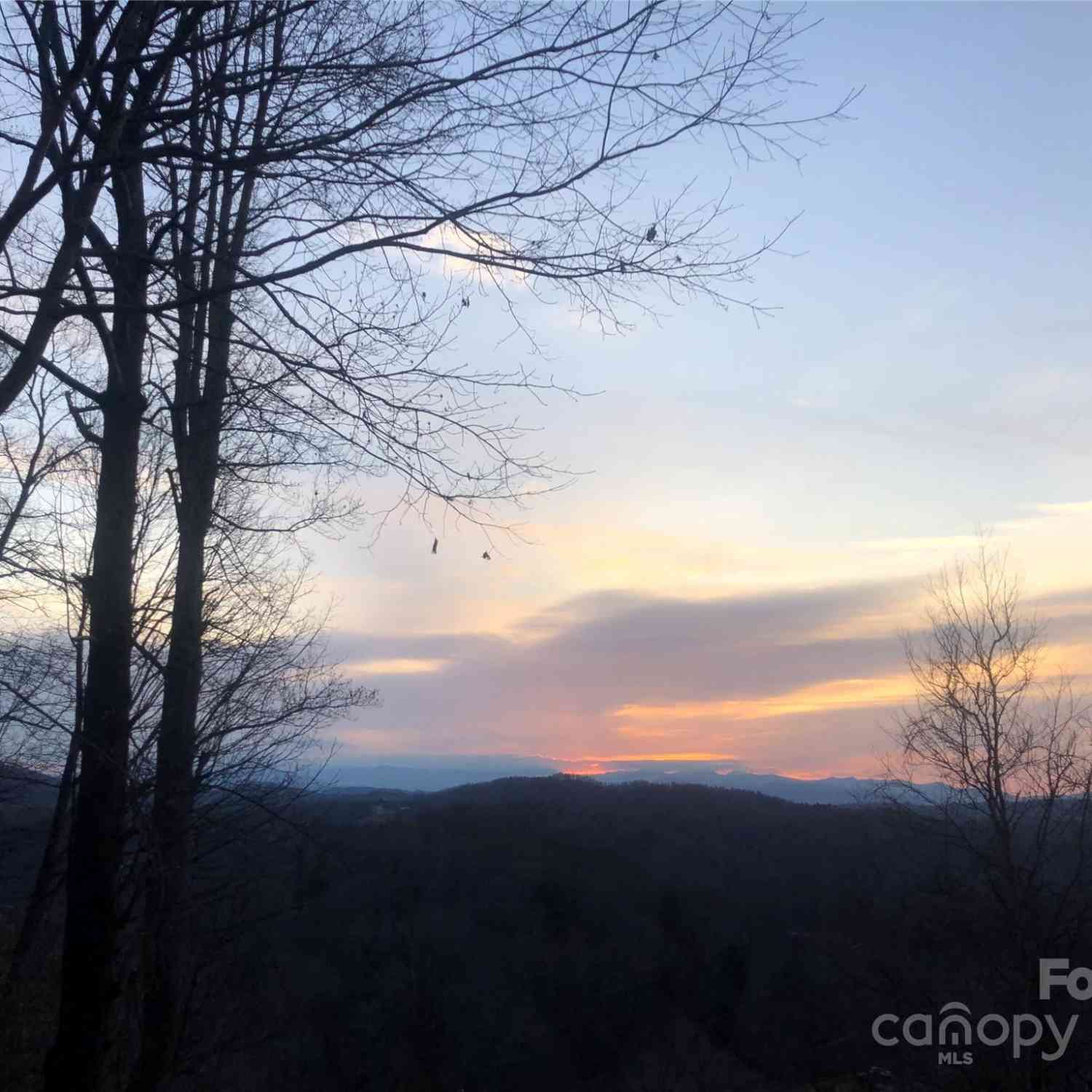 Anderson Branch Road, Marshall, North Carolina image 7