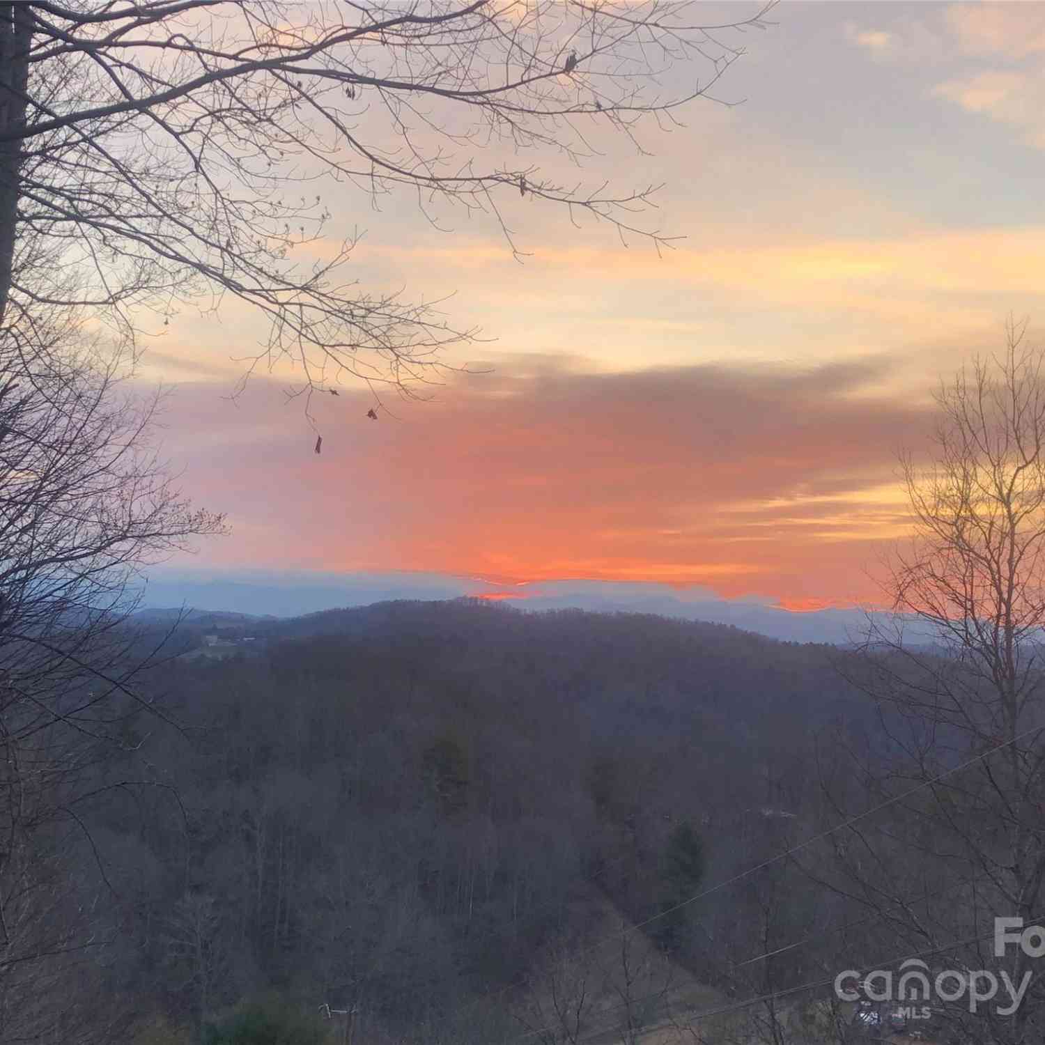 Anderson Branch Road, Marshall, North Carolina image 1