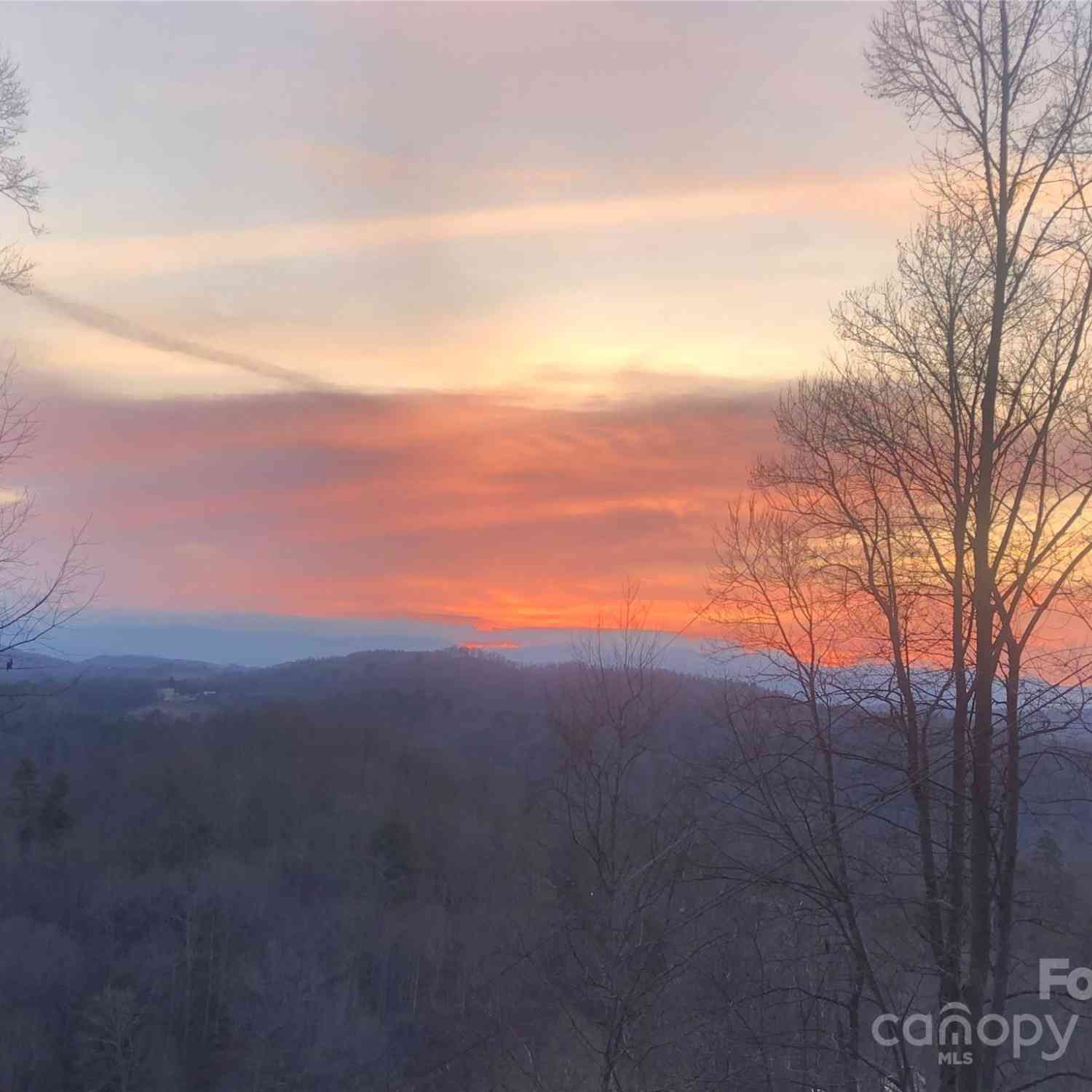 Anderson Branch Road, Marshall, North Carolina image 8