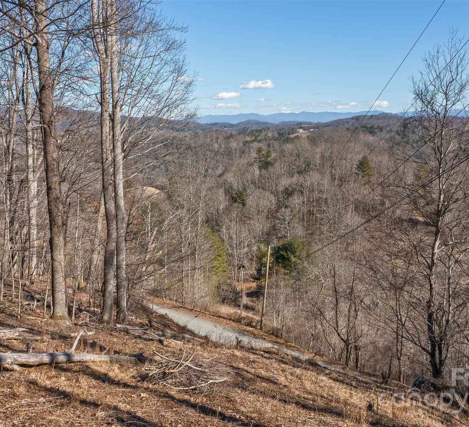 Anderson Branch Road, Marshall, North Carolina image 6