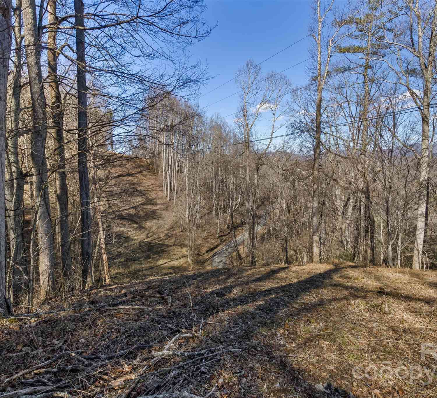 Anderson Branch Road, Marshall, North Carolina image 5