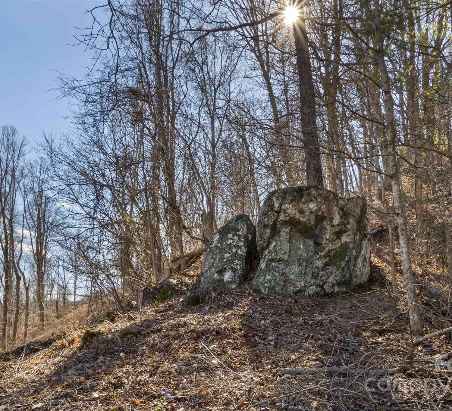 Anderson Branch Road, Marshall, North Carolina image 12