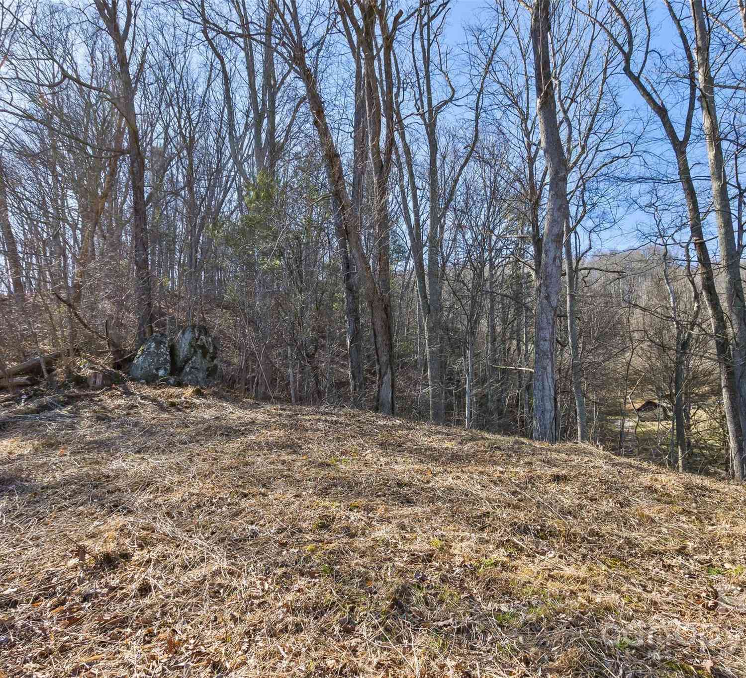 Anderson Branch Road, Marshall, North Carolina image 19